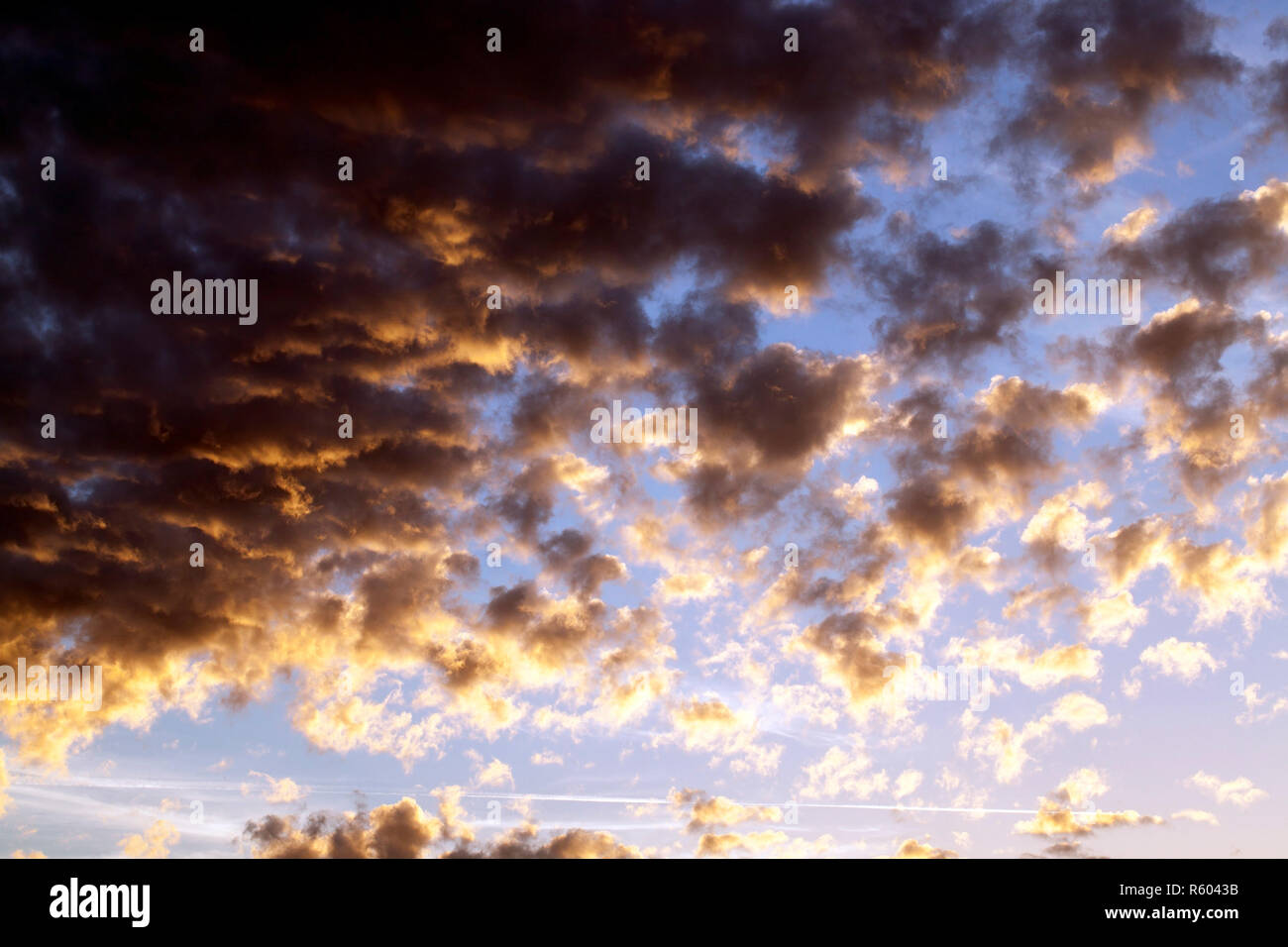 Les amoncellements de neige en hiver Banque D'Images