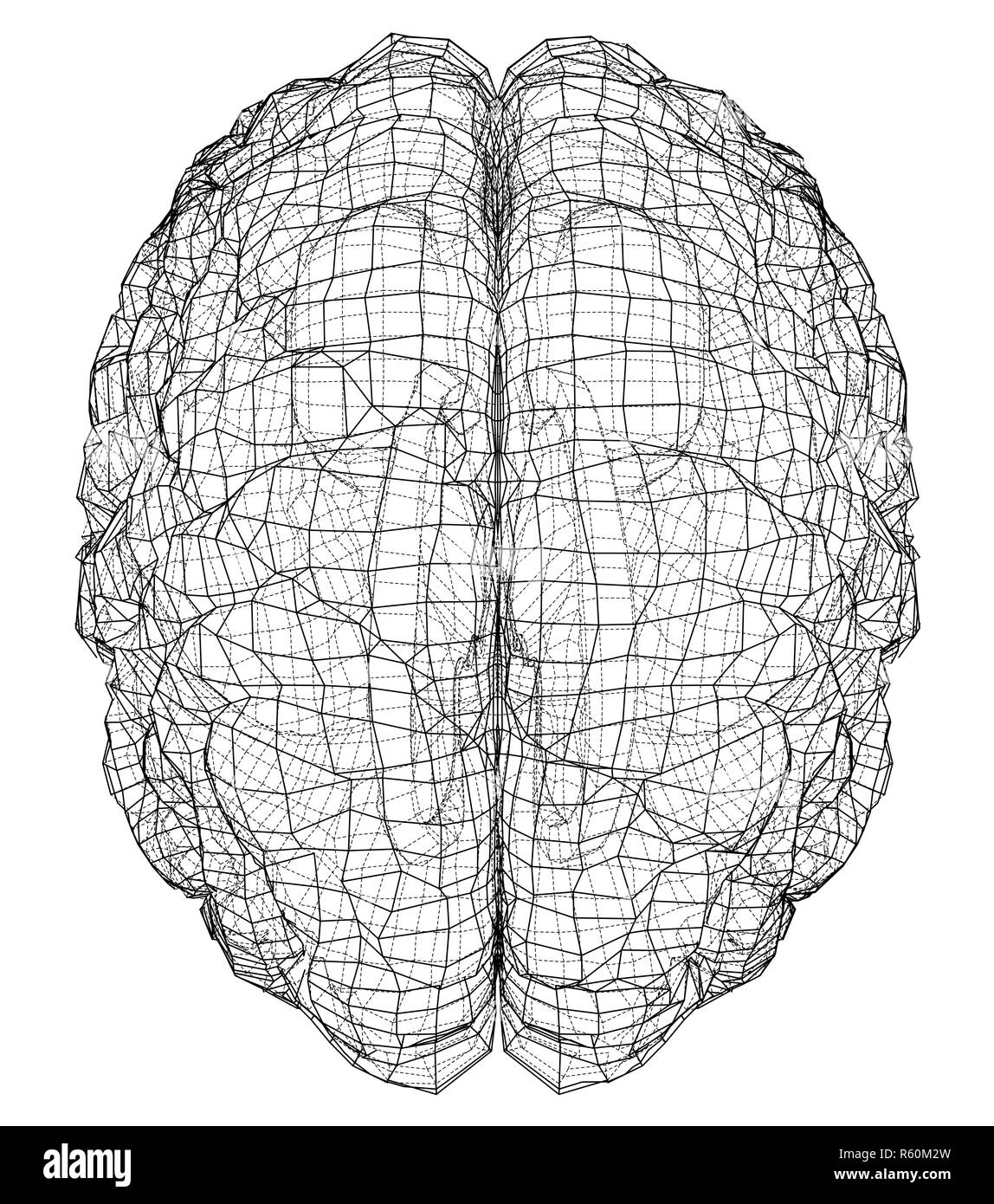 Contour 3D cerveau Banque D'Images