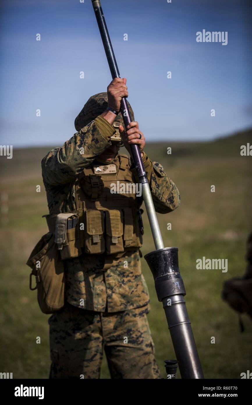 Le Caporal des Marines des États-Unis. Kyle Campbell, opérateur d'équipement lourd avec une force de rotation de la mer Noire, tampons 17,1 l'alésage d'un mortier de 81 mm à un live-fire Eagle platine pendant l'exercice, à 17,2 Formation Babadag, Roumanie, le 27 avril 2017. Les Marines du fonds non-infantry a participé à une gamme de mortier de tir réel de se familiariser avec plusieurs systèmes d'armes du Corps des Marines. Tour de présence des États-Unis dans la région de la mer Noire augmente de manière significative le niveau de coopération entre les militaires dans les activités de formation et d'exercices par lesquels ils développer des capacités militaires et interopera Banque D'Images