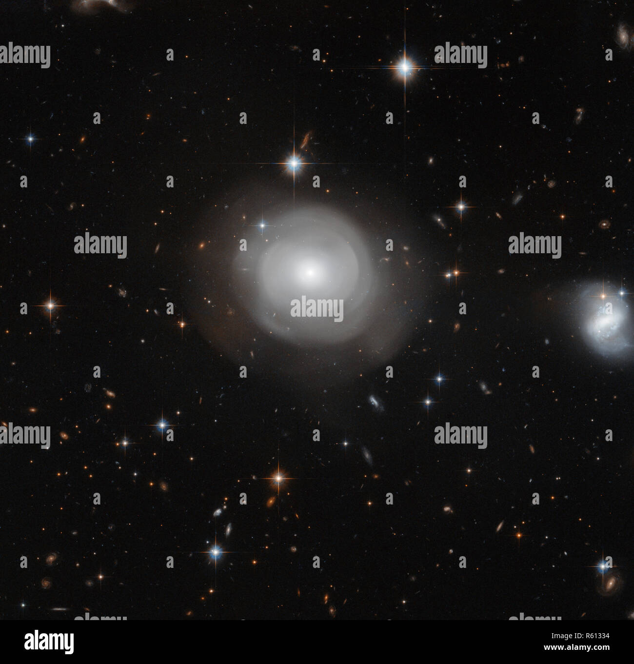 Les coquilles de fantomatique galaxie ESO 381-12 sont pris ici dans une nouvelle image de la NASA/ESA Hubble Space Telescope, sur un fond de g Banque D'Images