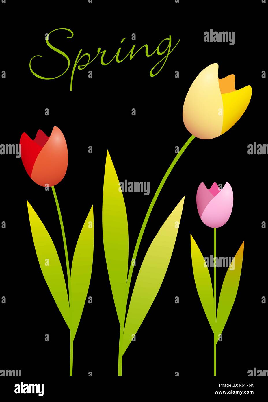 Trois tulipes colorées sur un fond noir Illustration de Vecteur
