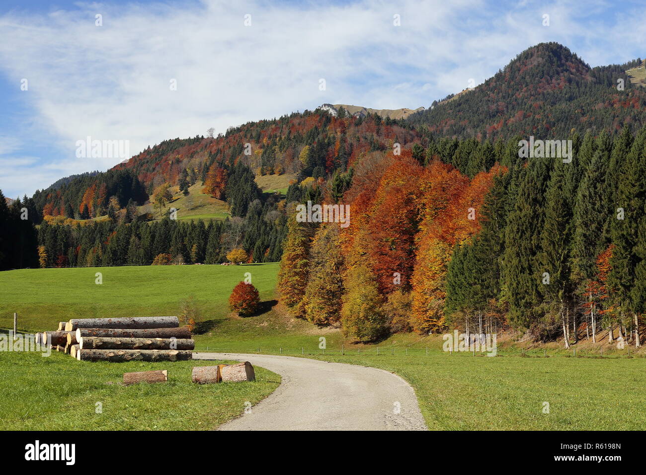 Un tas de bois dans paysage d'automne Banque D'Images