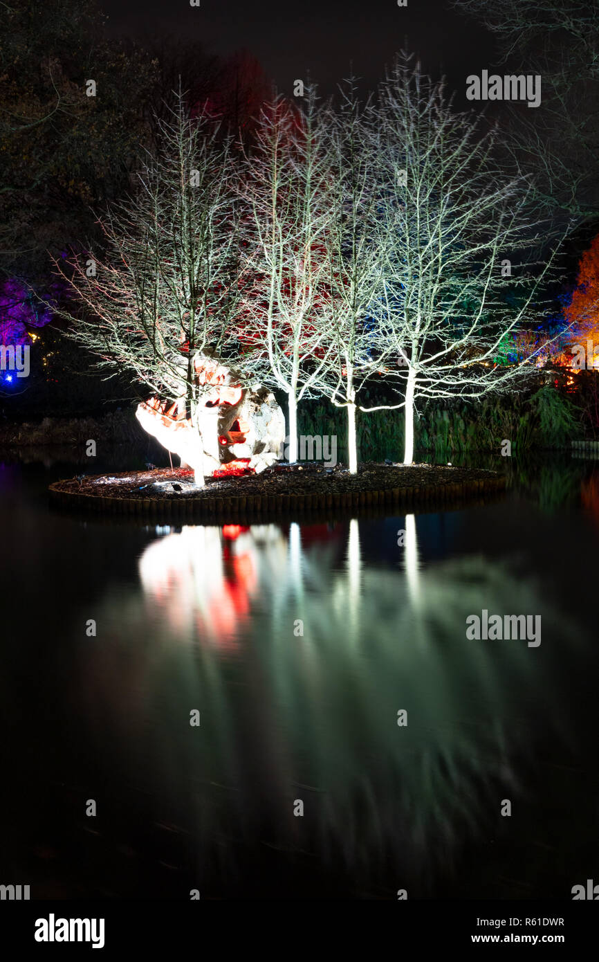 RHS Wisley Illuminations de Noël à Woking - Samedi 1er décembre 2018 Banque D'Images