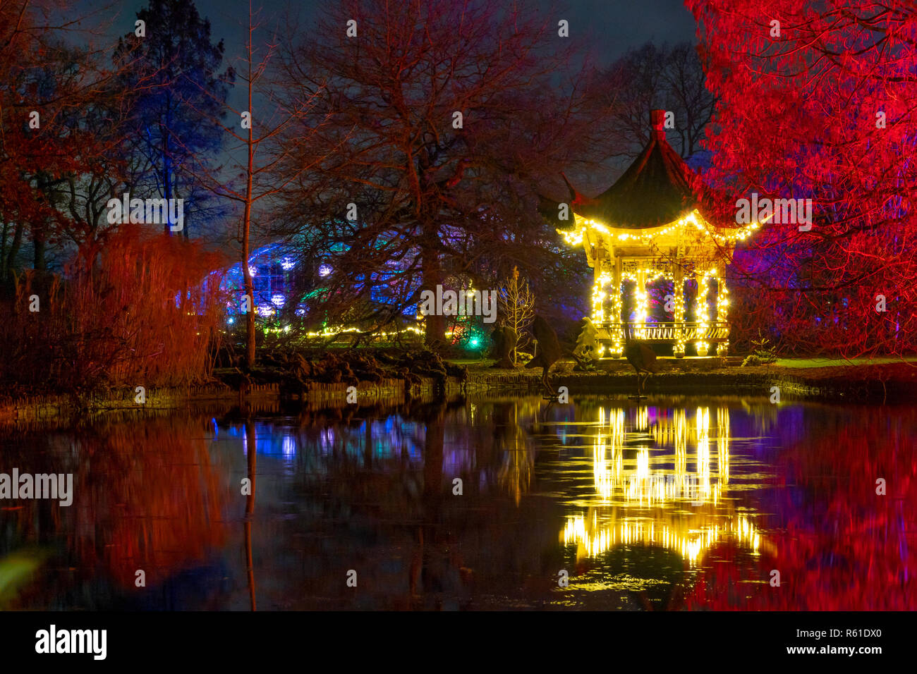 RHS Wisley Illuminations de Noël à Woking - Samedi 1er décembre 2018 Banque D'Images