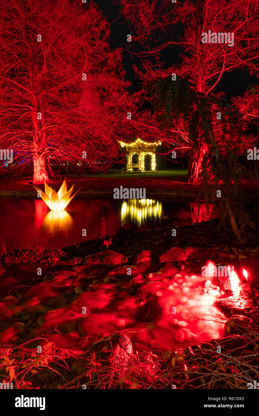 RHS Wisley Illuminations de Noël à Woking - Samedi 1er décembre 2018 Banque D'Images