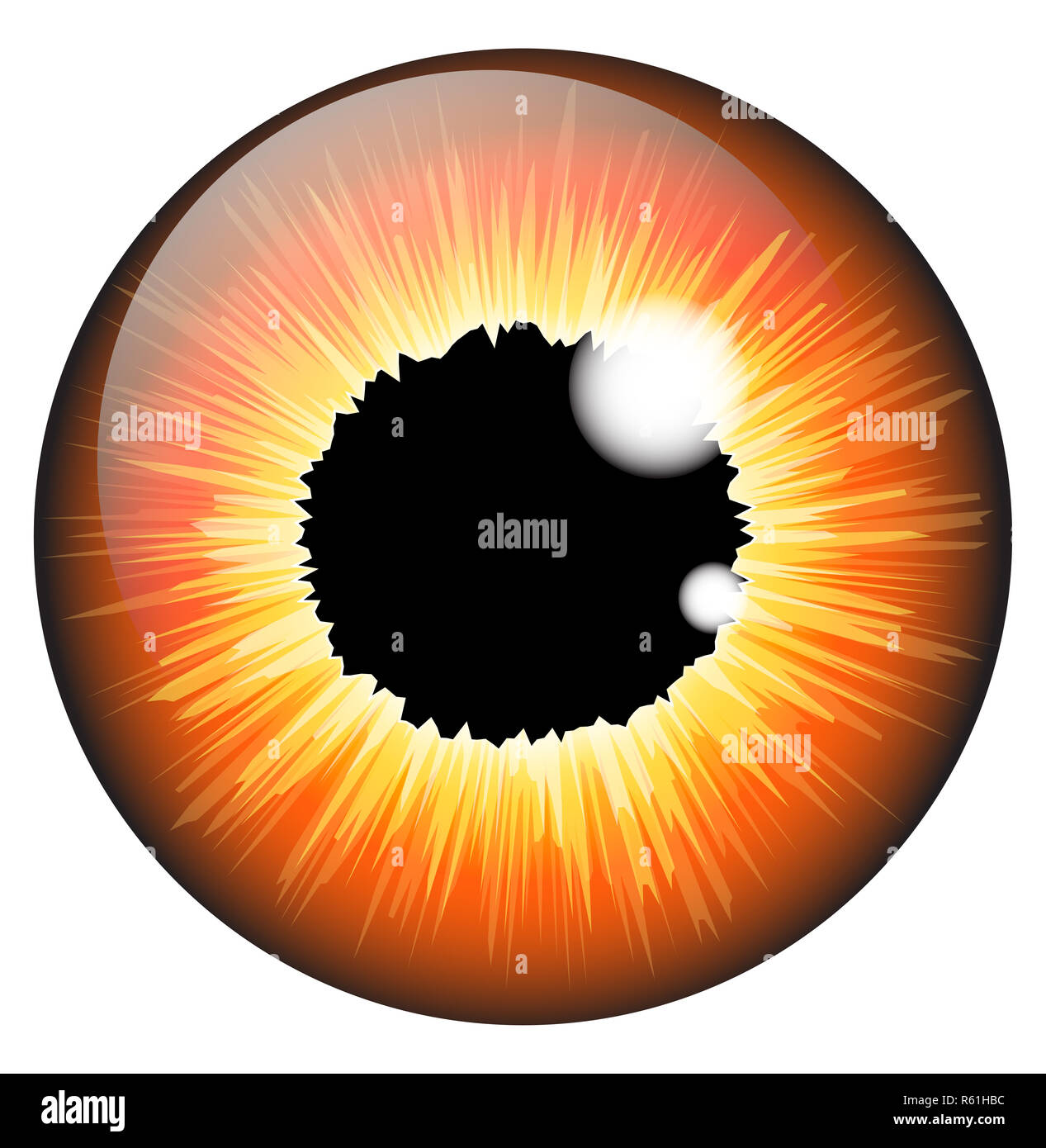 Orange, Hazel iris eye vecteur réaliste scénographie isolé sur fond blanc Banque D'Images