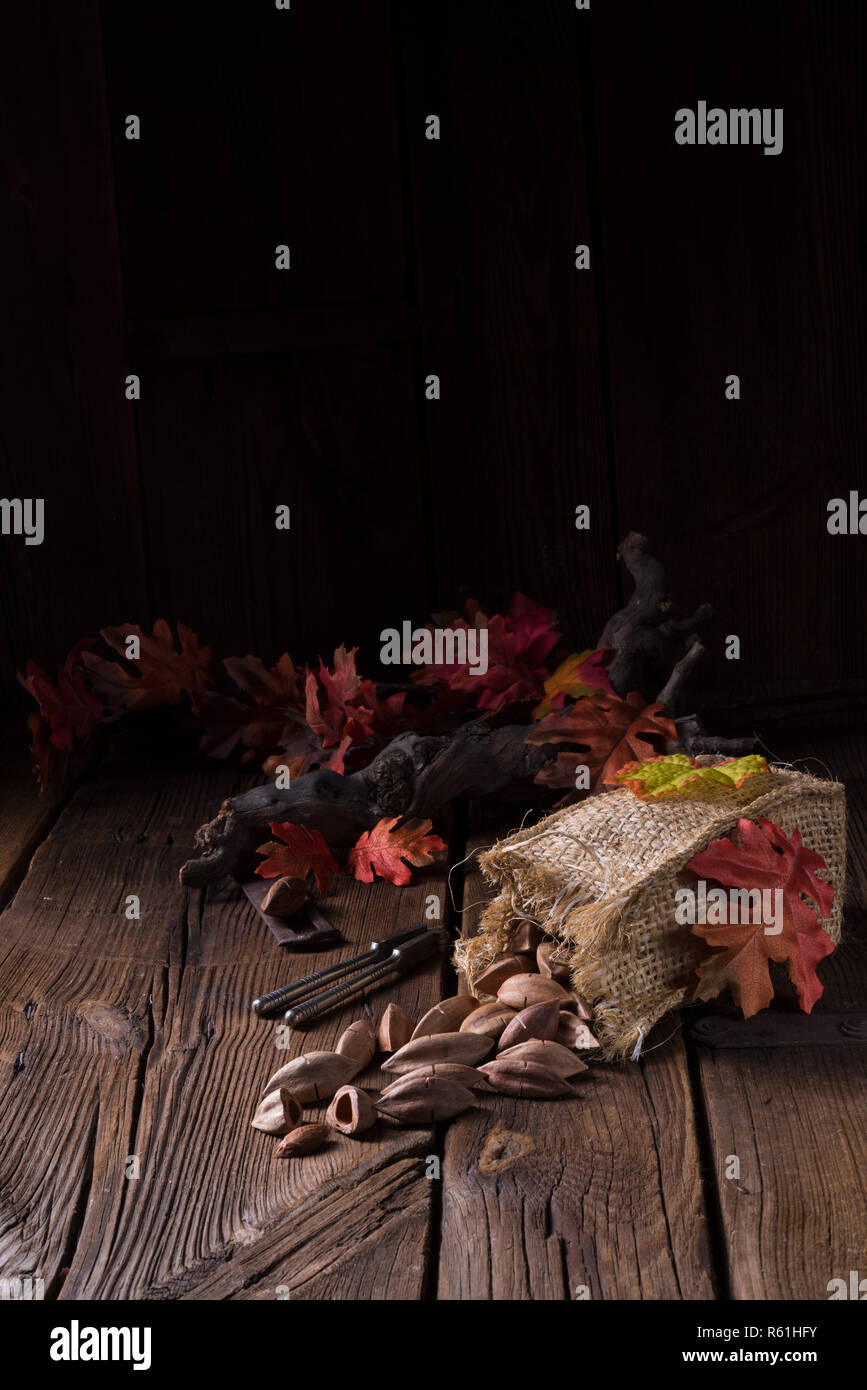 Canarium ovatum,communément appelée pili est une espèce d'arbre tropical Banque D'Images