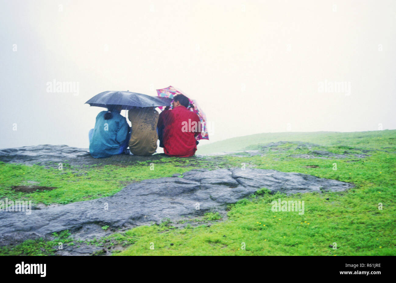 Avoir une vue sur la vallée dans la pluie, Malshej Ghat, Maharashtra, Inde Banque D'Images