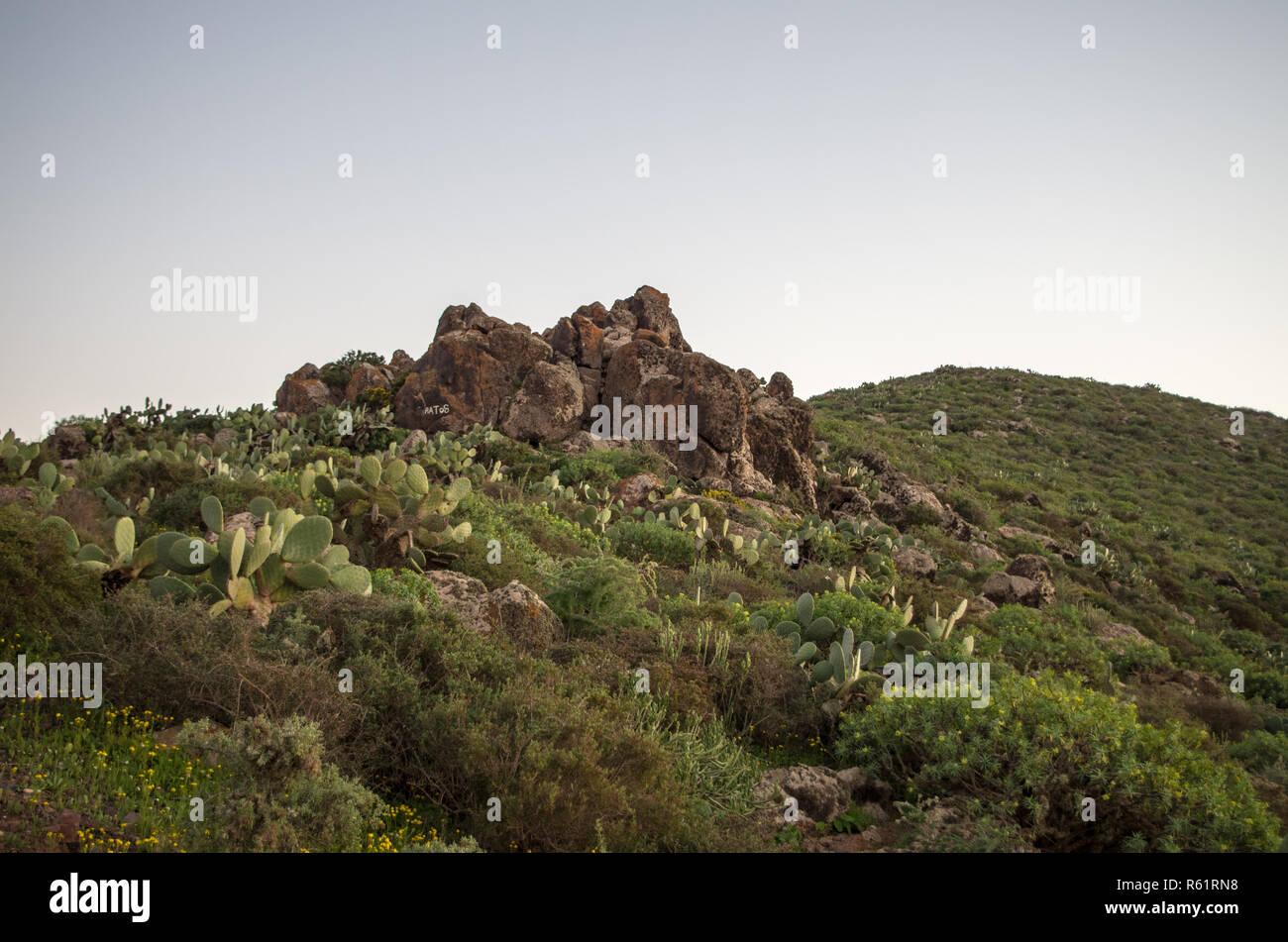 Des roches dans le désert près de Sidi Ifni Banque D'Images