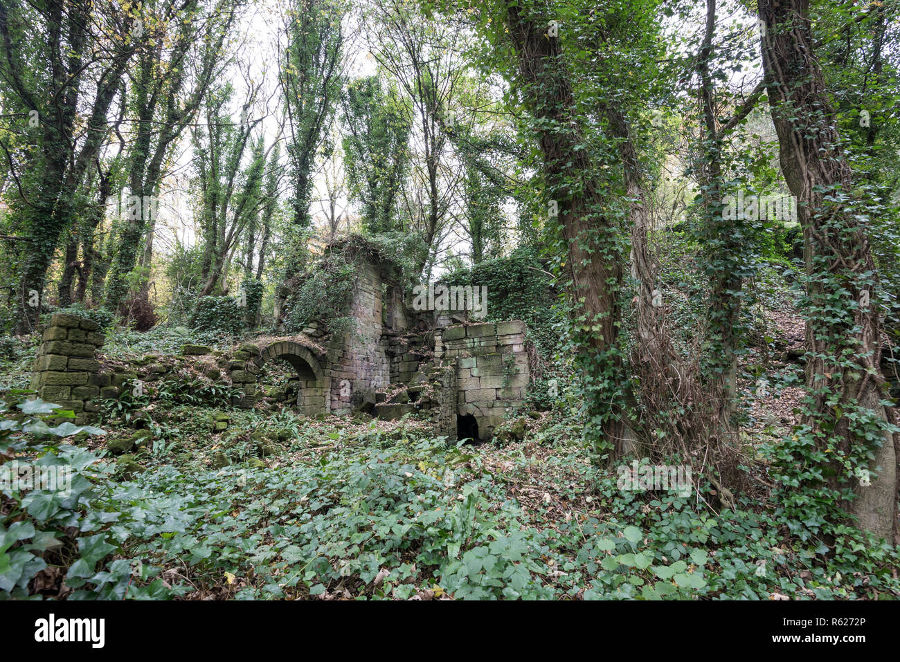 Ruines d'anciens moulins à Lumsdale à la périphérie de Matlock. Un rea de patrimoine industriel, cachée dans les bois. Banque D'Images