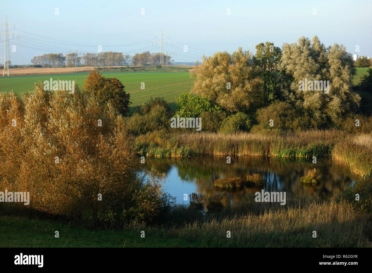 Vue sur demmin dans mecklenburg-vorpommern Banque D'Images