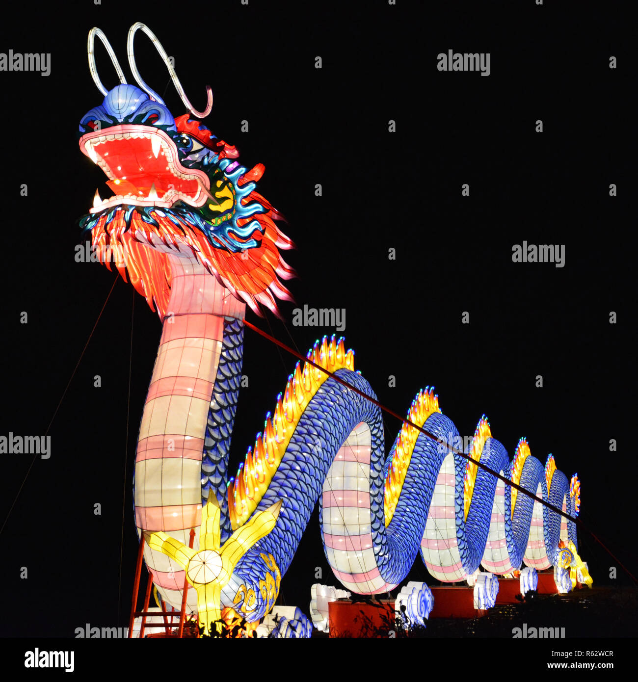 L'Assemblée Caroline du Chinese Lantern Festival tenu dans la ville de Cary, une banlieue de Raleigh. Banque D'Images L'Assemblée Caroline du Chinese Lantern Festival tenu dans la ville de Cary, une banlieue de Raleigh. Banque D'Images