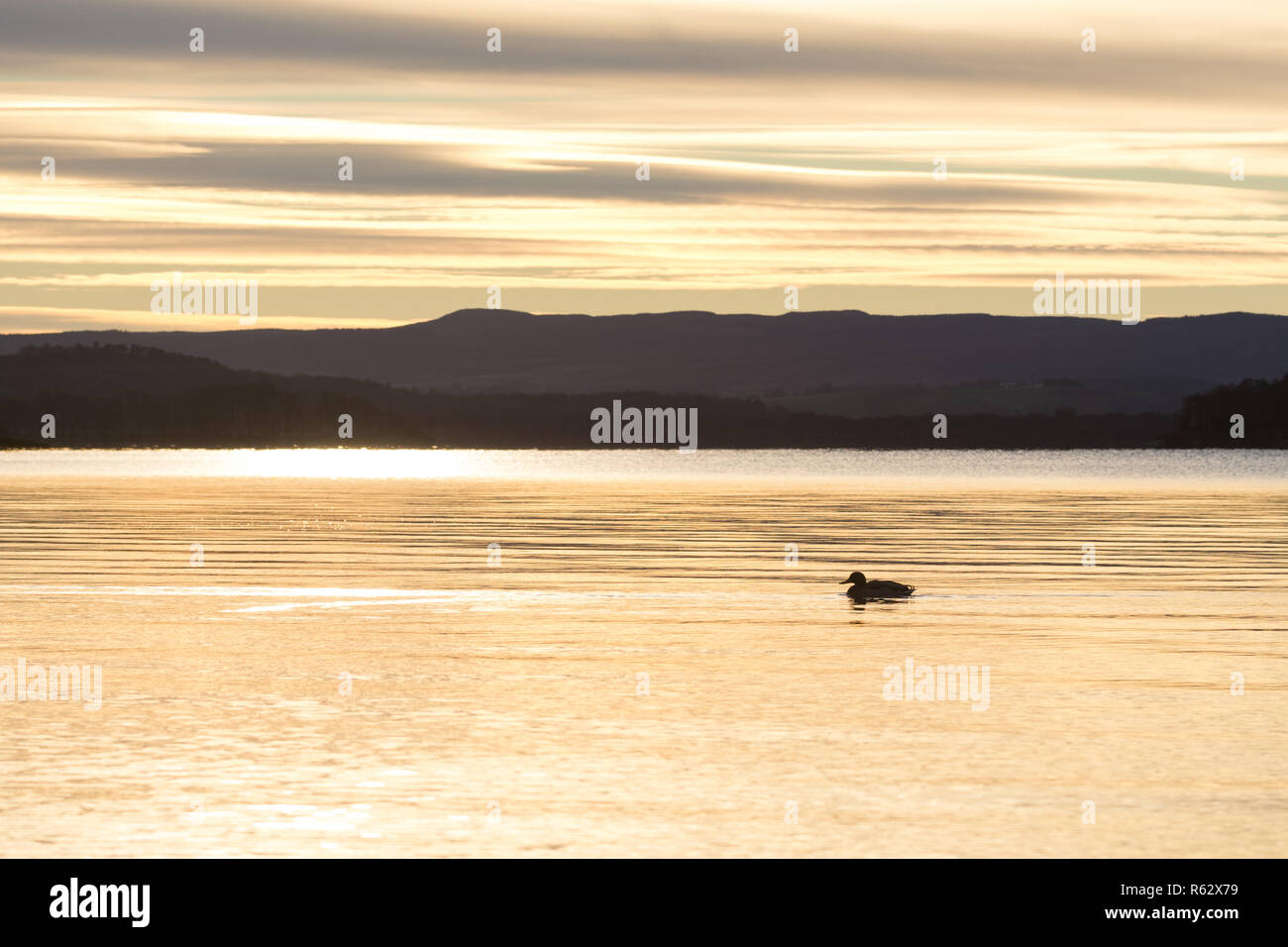 Sallochy Bay, Loch Lomond, Ecosse, UK - 3 décembre 2018 : France - superbe lever de soleil à Sallochy Bay, Loch Lomond. Le soleil est pour la plupart du jour Crédit : Kay Roxby/Alamy Live News Banque D'Images