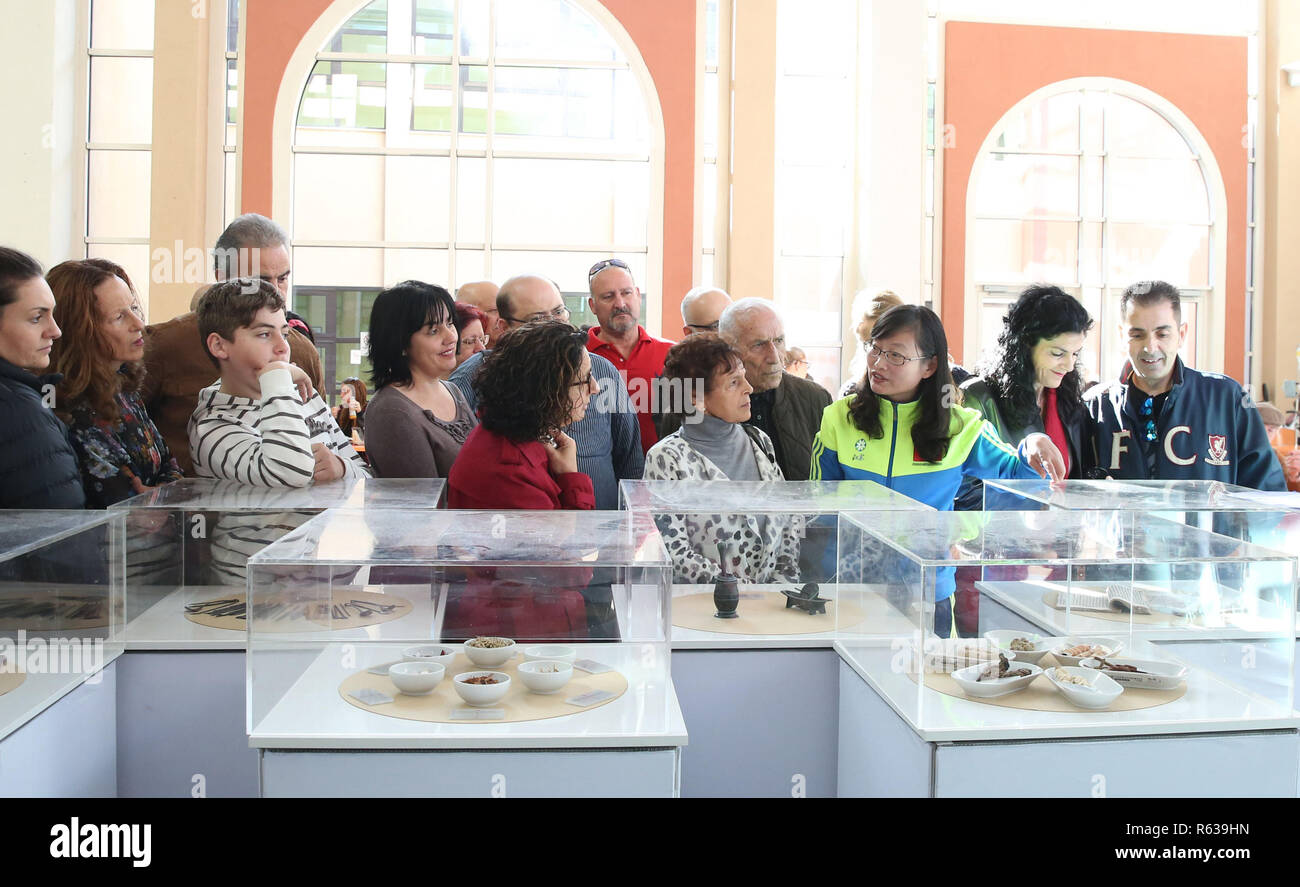 (181204) -- La Valette, le 4 décembre 2018 (Xinhua) -- Zhengya interprète Li (3e R) présente des expositions pour les visiteurs à l'hôpital Mater Dei à Msida, Malte, le 2 décembre 2018. Les gens ont montré un intérêt dans la médecine traditionnelle chinoise (MTC), ils ont visité la "bienveillance et Healing Art" exposition au TCM l'hôpital principal de Malte Mater Dei. L'exposition a montré l'histoire de la MCT, ses caractéristiques, les techniques de guérison, les réalisations et l'application dans le monde entier avec des images et des affiches pour faire connaître la médecine traditionnelle chinoise à Malte. Pour ALLER AVEC : Médecine Traditionnelle Chinoise exhi Banque D'Images