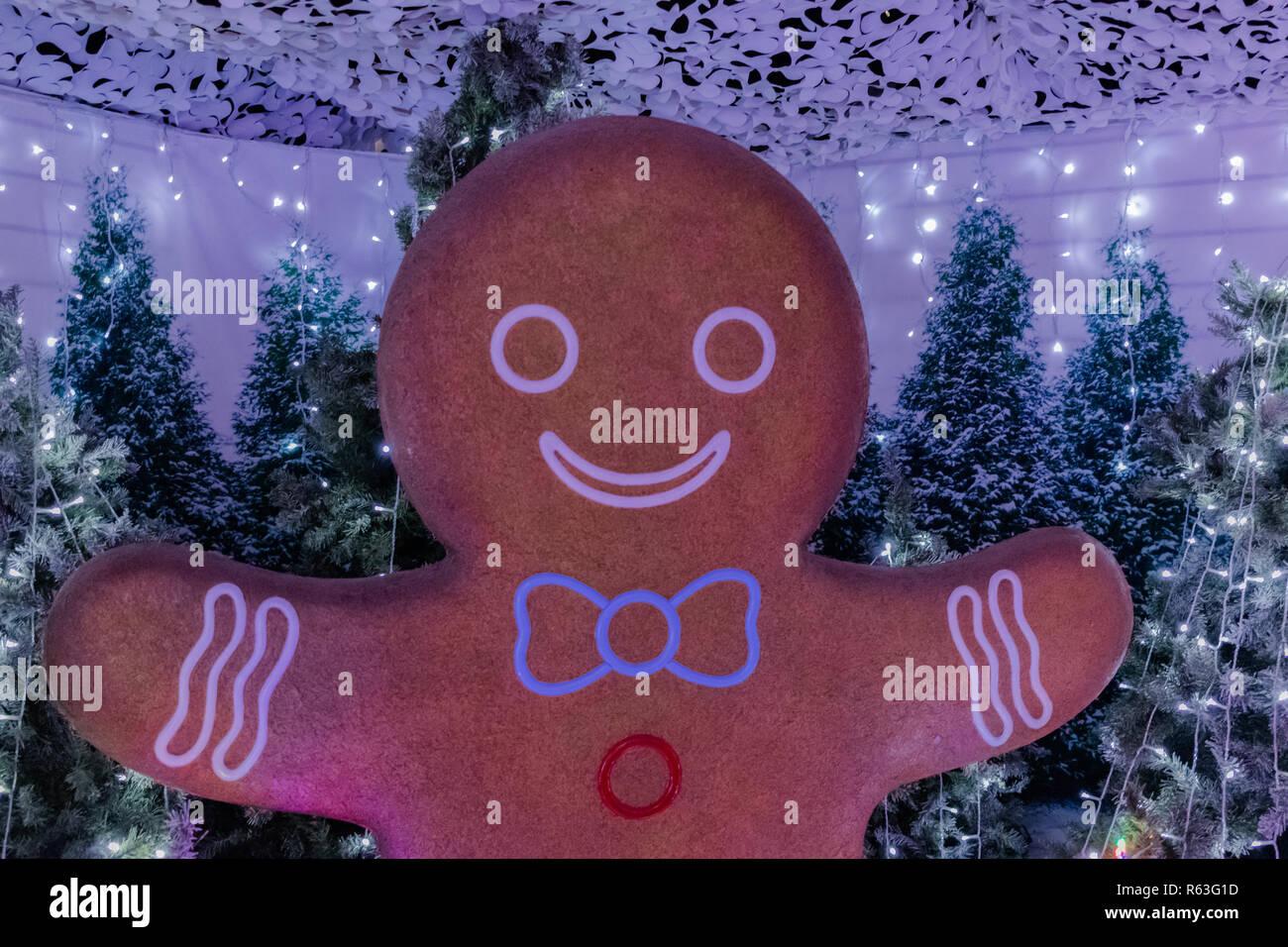 Décoration de Noël Gingerbread Man en face d'arbres de Noël avec des lumières de Noël Banque D'Images