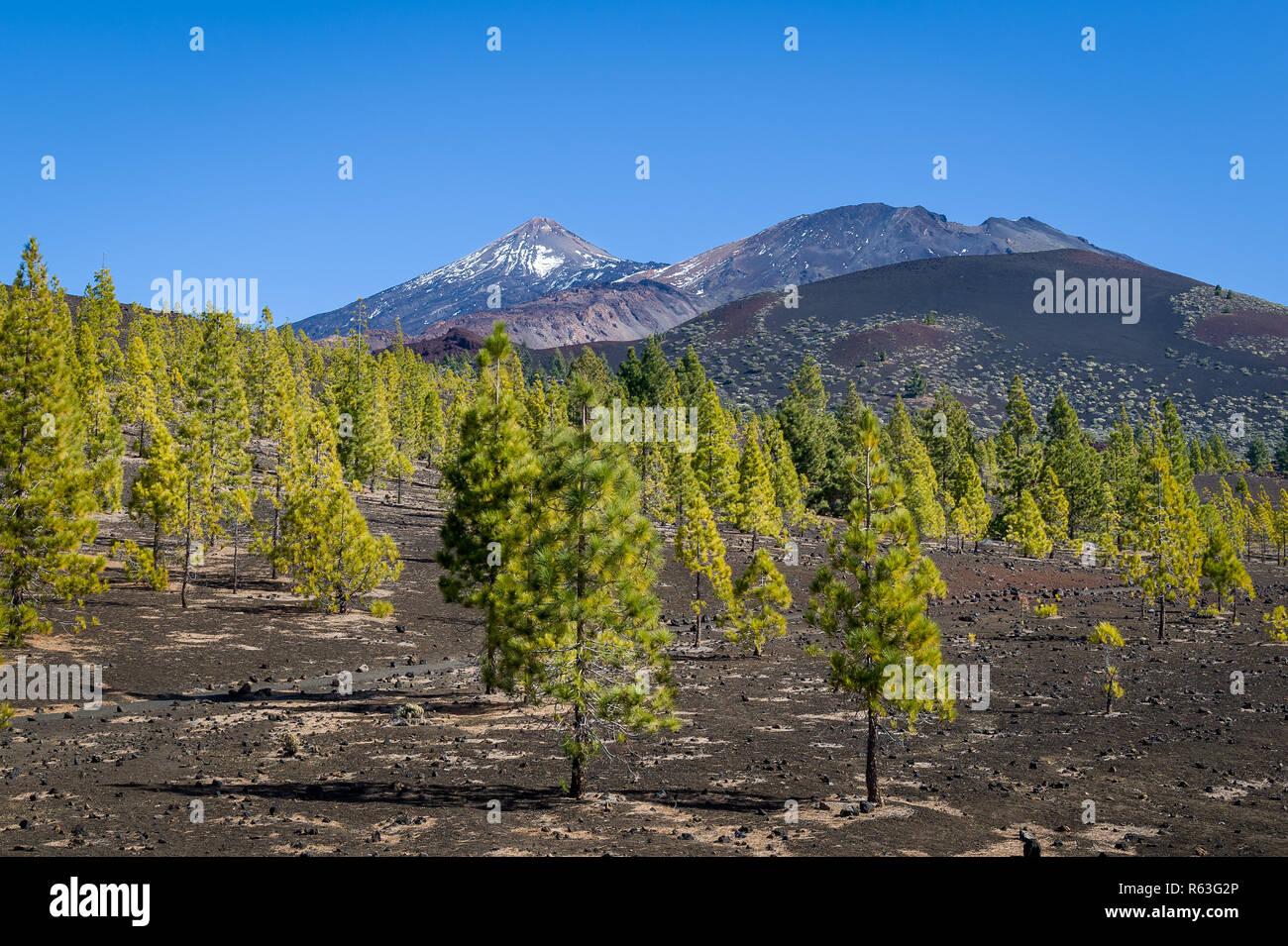 Des sentiers de randonnée de montagne de Samara et vue sur le Teide. Banque D'Images