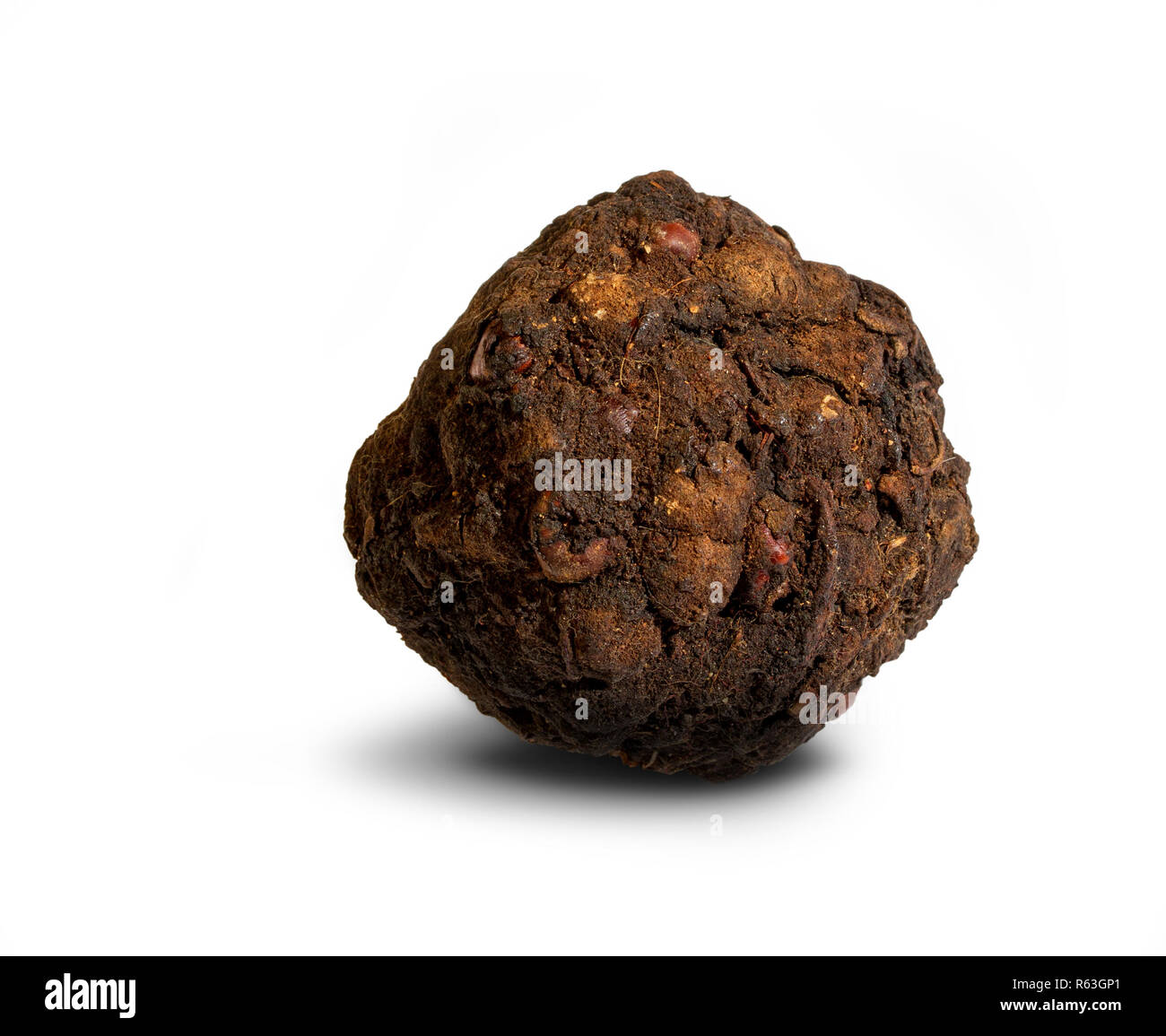 Plateau de Tamarin séché Banque D'Images