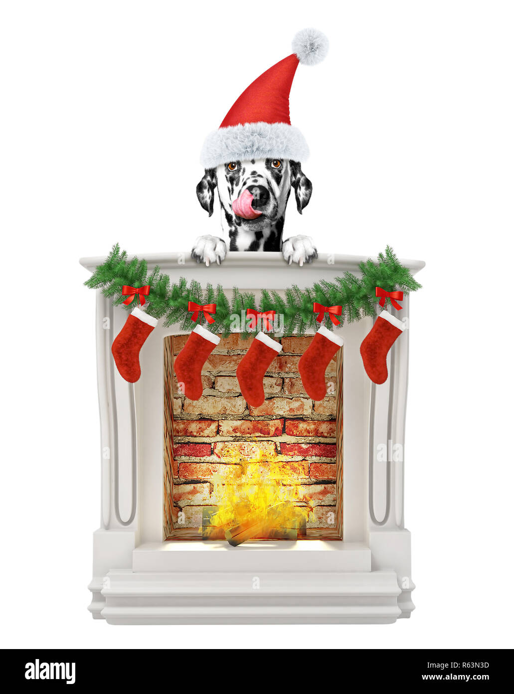 Chien dalmatien près de cheminée. Isolated on white Banque D'Images