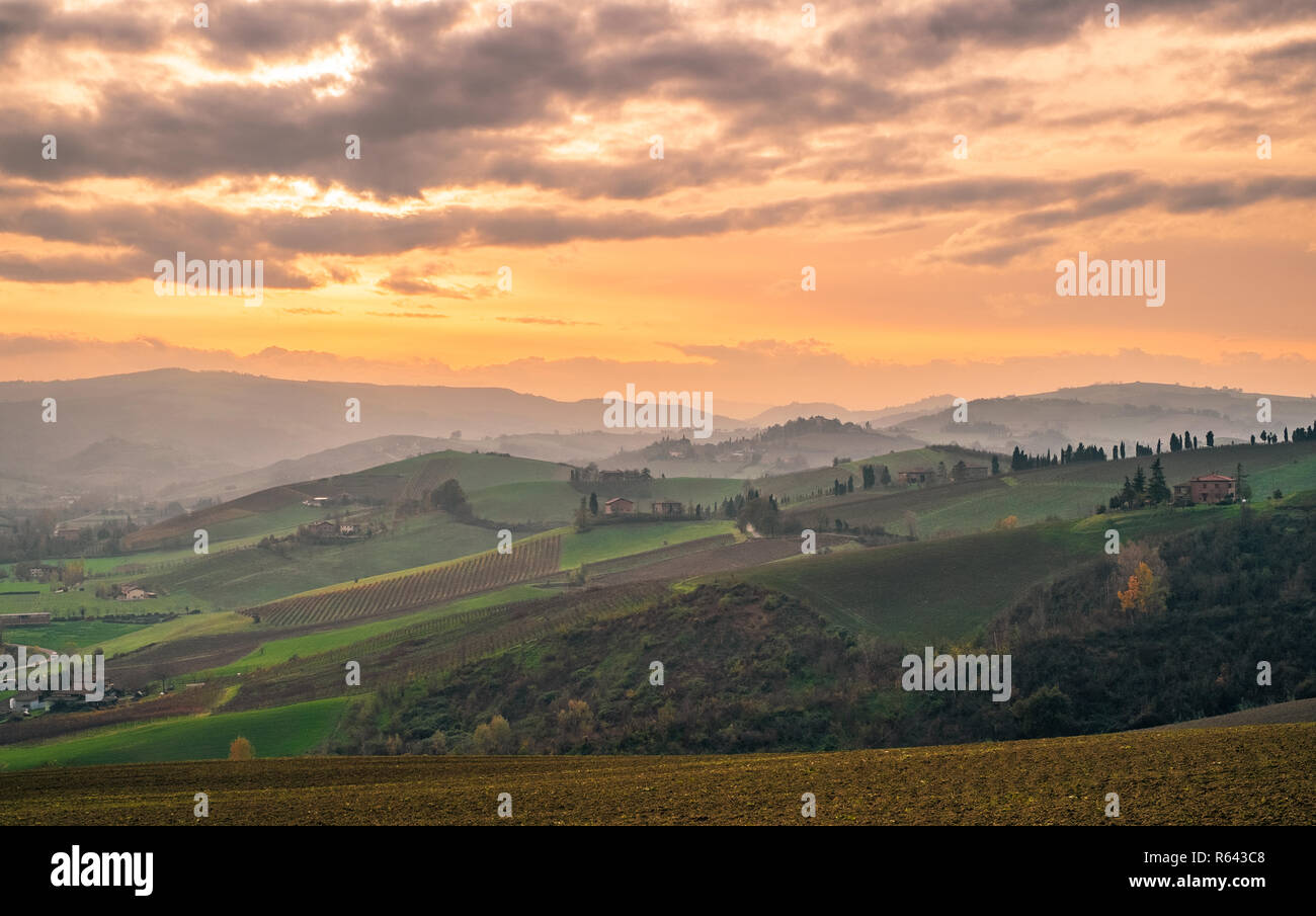 Les collines dans le sud-ouest de Bologne ; zone de production de vin typique nommé Pignoletto. Province de Bologne, Emilie-Romagne, Italie. Banque D'Images
