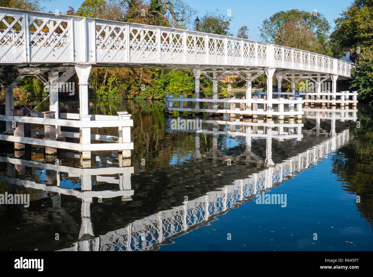 Tôt le matin, Tamise, Bridge, près de Whitchurch-on-Thames, Pangbourne, Reading, Berkshire, pensionnaire de l'Oxfordshire, Angleterre, RU, FR Banque D'Images