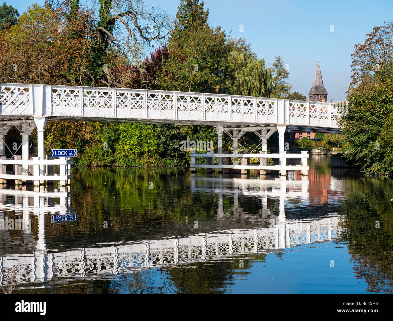 Tôt le matin, Tamise, Bridge, près de Whitchurch-on-Thames, Pangbourne, Reading, Berkshire, pensionnaire de l'Oxfordshire, Angleterre, RU, FR Banque D'Images