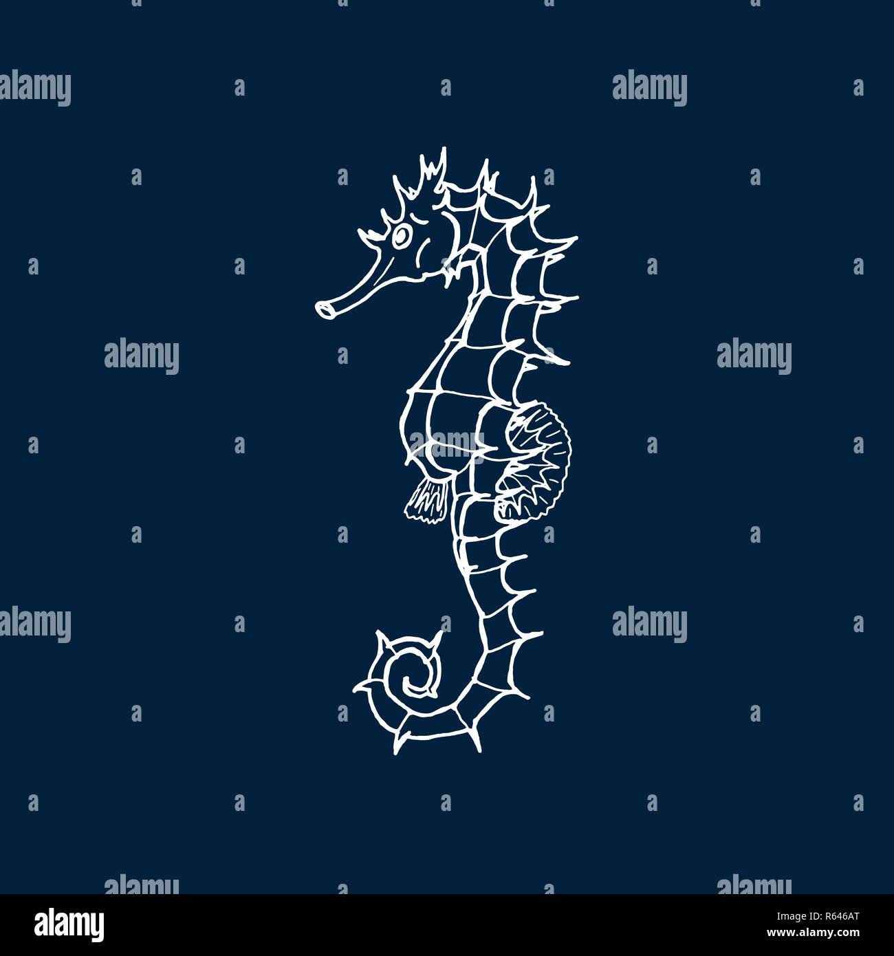 Vector illustration of white seahorse silhouette sur fond bleu foncé. Dessin à la main seahorse Illustration de Vecteur