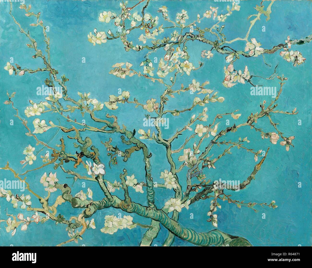 Almond Blossom. Date : février 1890, Aix-en-Provence. Dimensions : 73,3 cm x 92,4 cm, 94,0 cm x 112,9 cm. Musée : Musée Van Gogh, Amsterdam. Banque D'Images