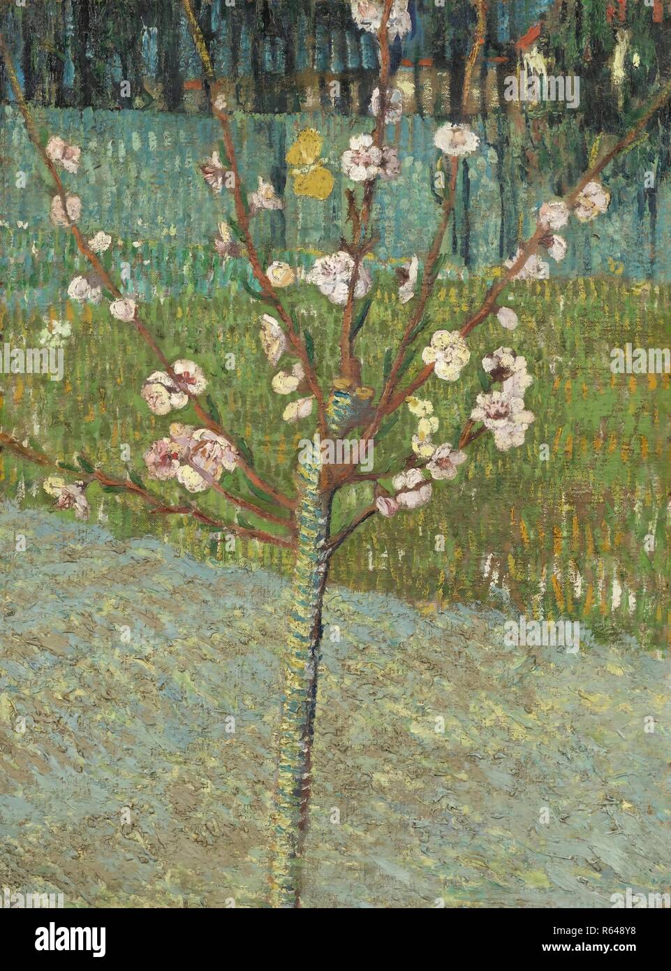 Peach Tree in Blossom. Date : avril 1888, Arles. Dimensions : 50 cm x 37,5 cm, 67 cm x 55 cm. Musée : Musée Van Gogh, Amsterdam. Auteur : VAN GOGH, Vincent. VINCENT VAN GOGH. Banque D'Images
