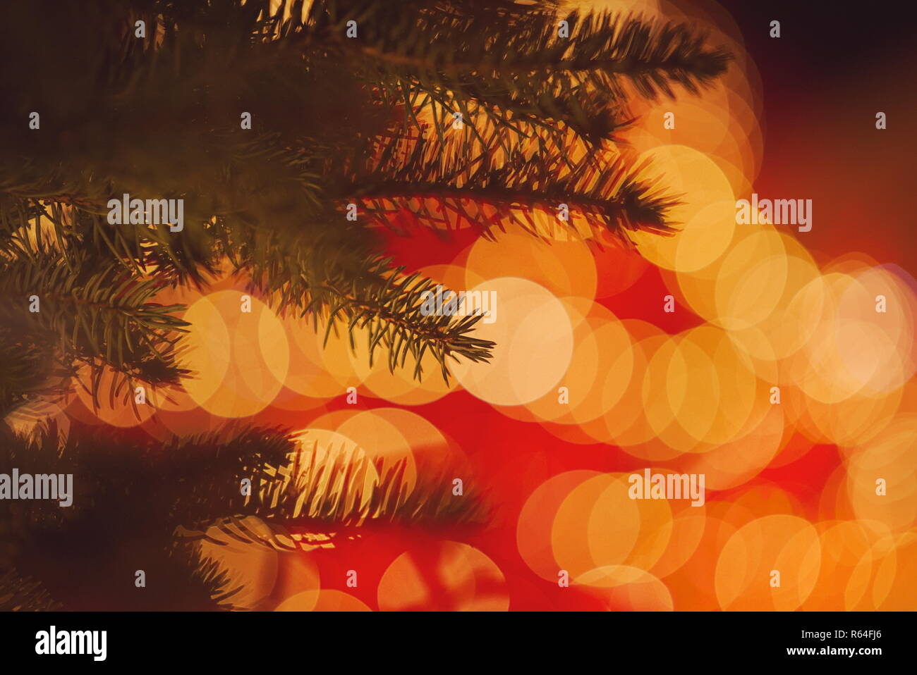 Gros plan de l'arbre de Noël avec des Lumières floues Banque D'Images