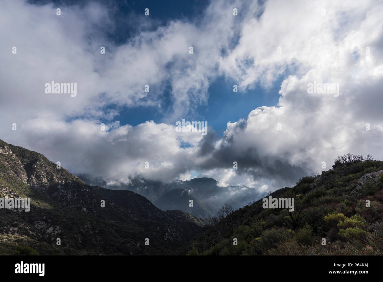 Tempête de décembre dramatique nuages sur Mt Harvard et les montagnes San Gabriel dans l'Angeles National Forest au-dessus de Pasadena et Los Angeles, Californie Banque D'Images