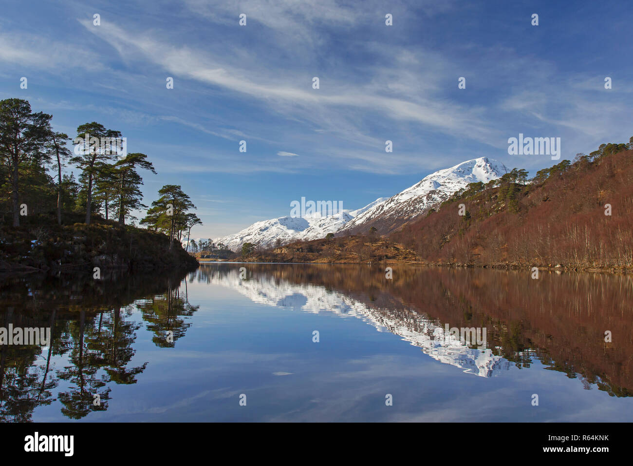 Forêt écossaise le long de Loch Affric et mountain Sgurr na Lapaich en hiver, Glen Affric, Inverness-shire, les Highlands écossais, Highland, Scotland, UK Banque D'Images