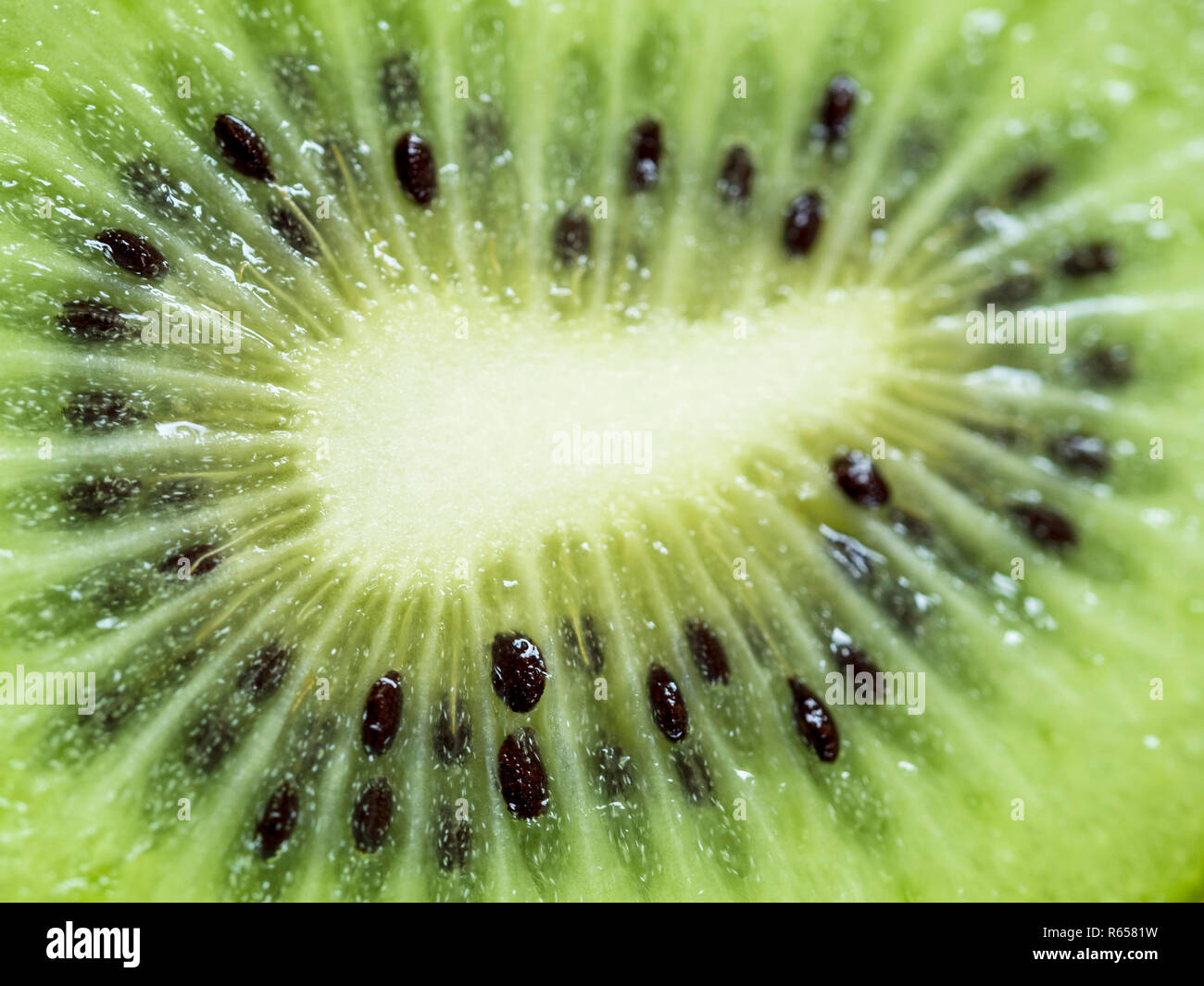 Close up of seeds sur tranches de kiwi Banque D'Images