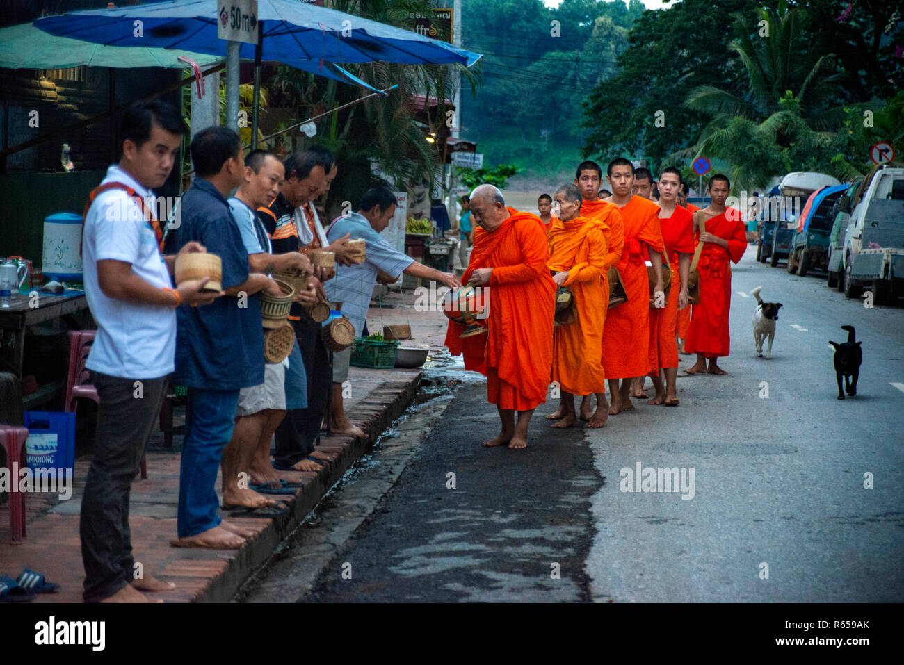 Tak bat - rituel des moines bouddhistes recevoir le riz et de la nourriture de pupulation tôt le matin à Luang Prabang, Laos, Asie Banque D'Images