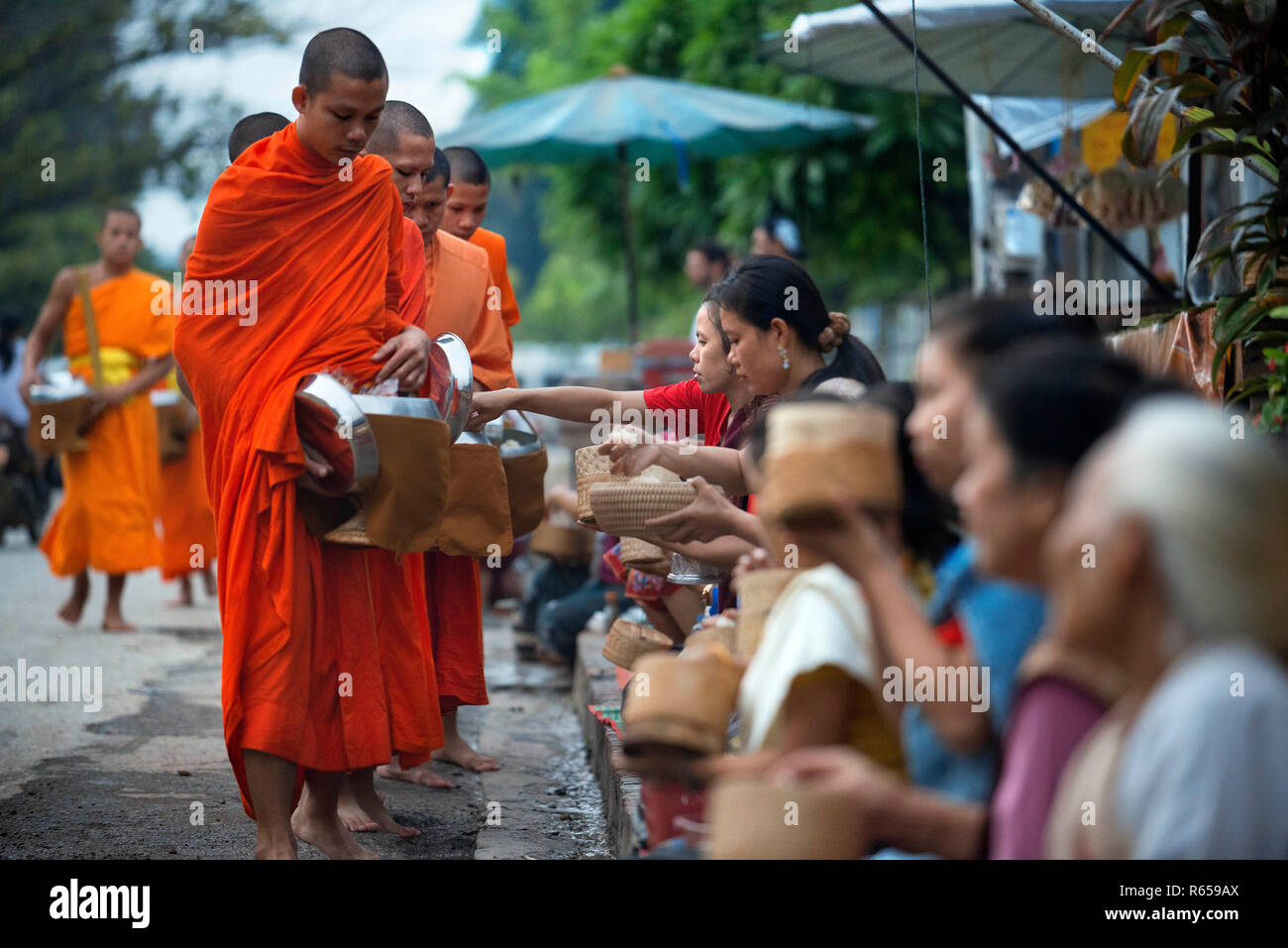 Tak bat - rituel des moines bouddhistes recevoir le riz et de la nourriture de pupulation tôt le matin à Luang Prabang, Laos, Asie Banque D'Images