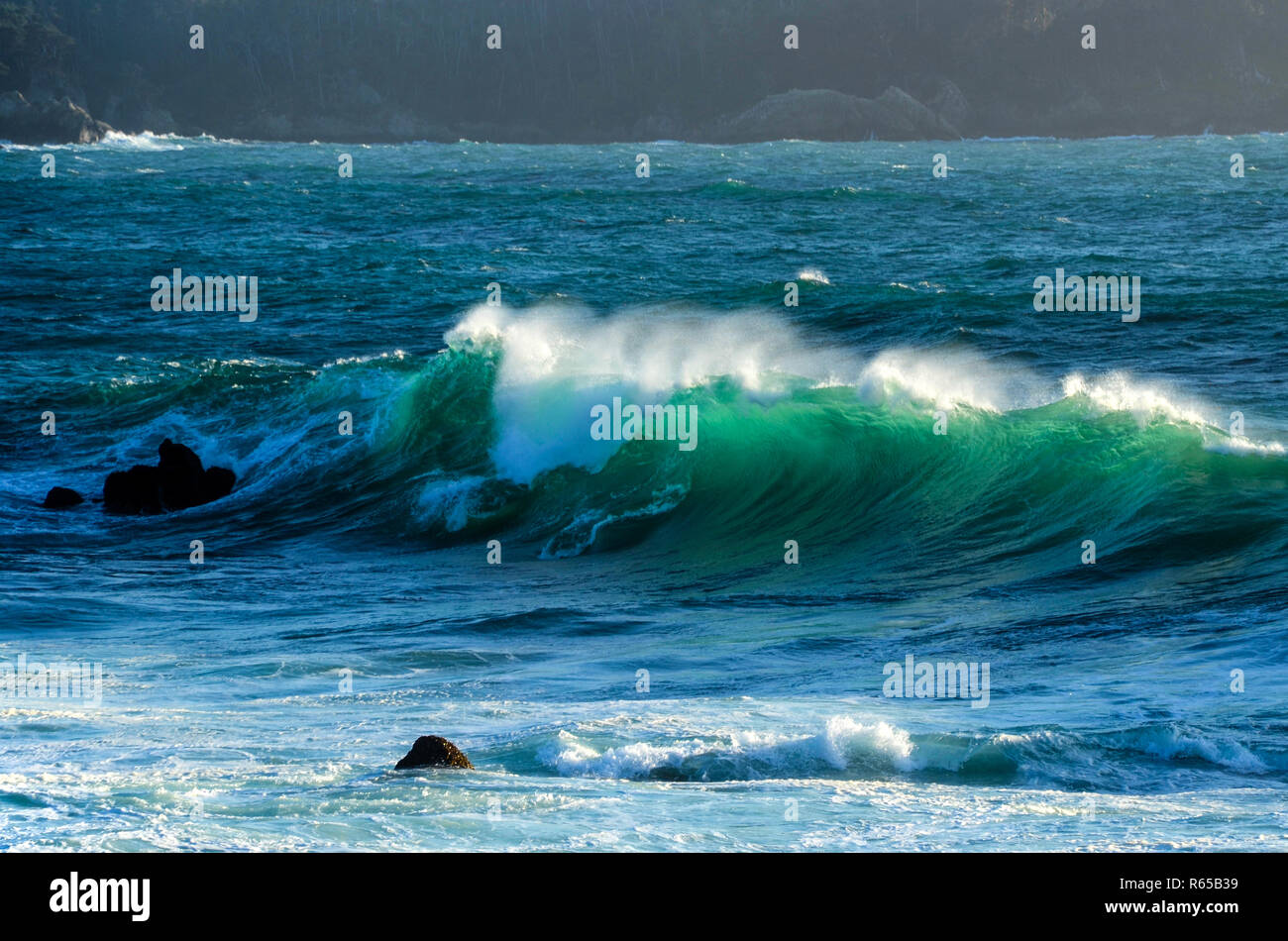 Grande vague de clear aqua bleu rétroéclairé de l'eau par le soleil se recourbe vers le rivage à Carmel, Californie avec le Point Lobos côte dans l'arrière-plan Banque D'Images