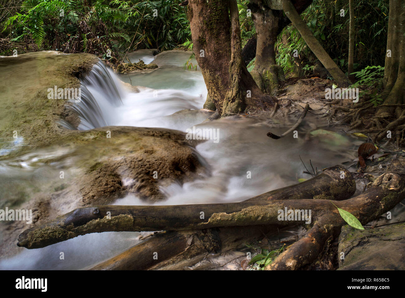 Chutes d'eau à l'Tat Kuang près de Luang Prabang au Laos. Banque D'Images