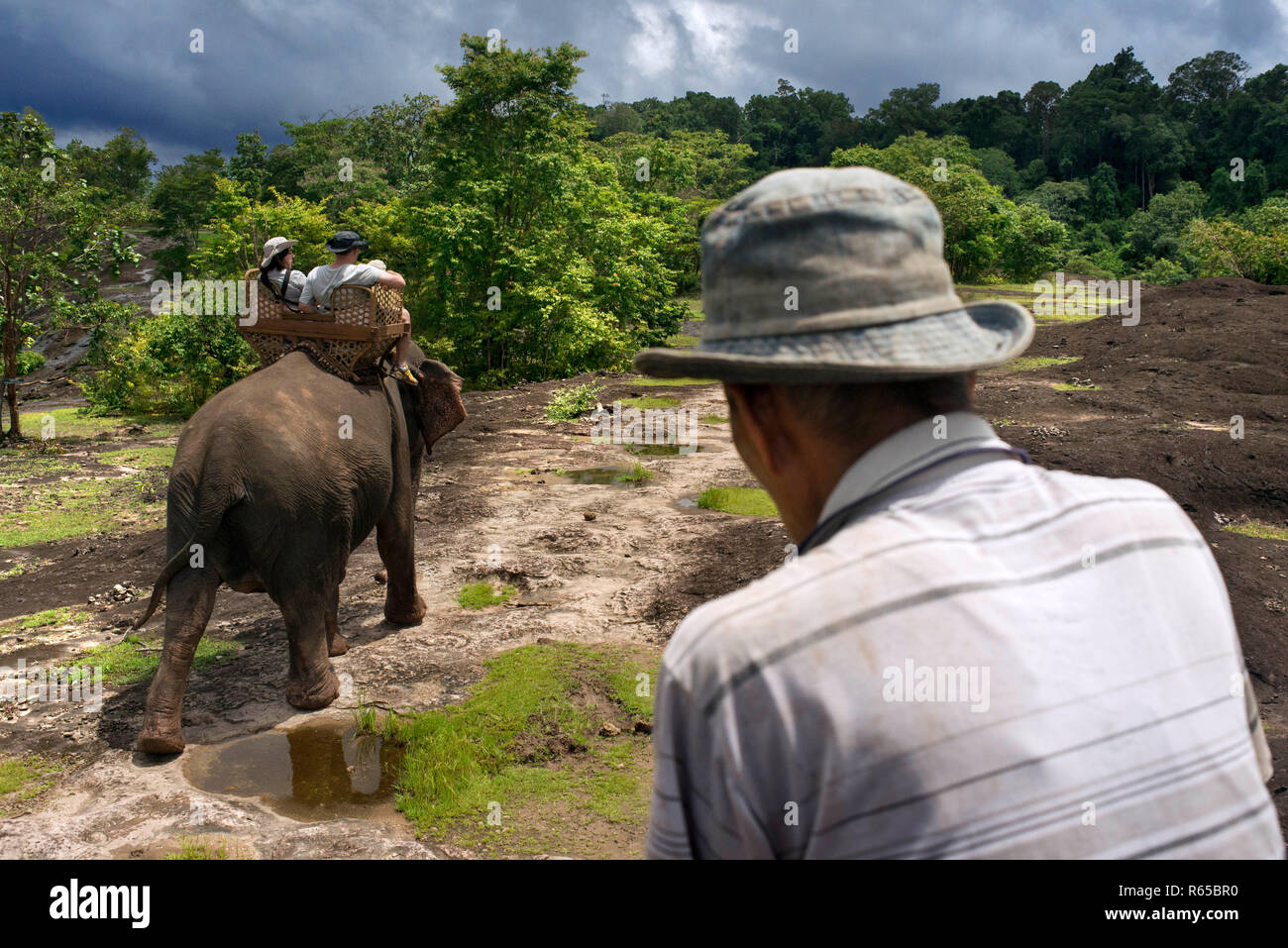 Un touriste et mahout ride une promenade à dos d'éléphant dans la région de Kiet Ngong, Laos Banque D'Images