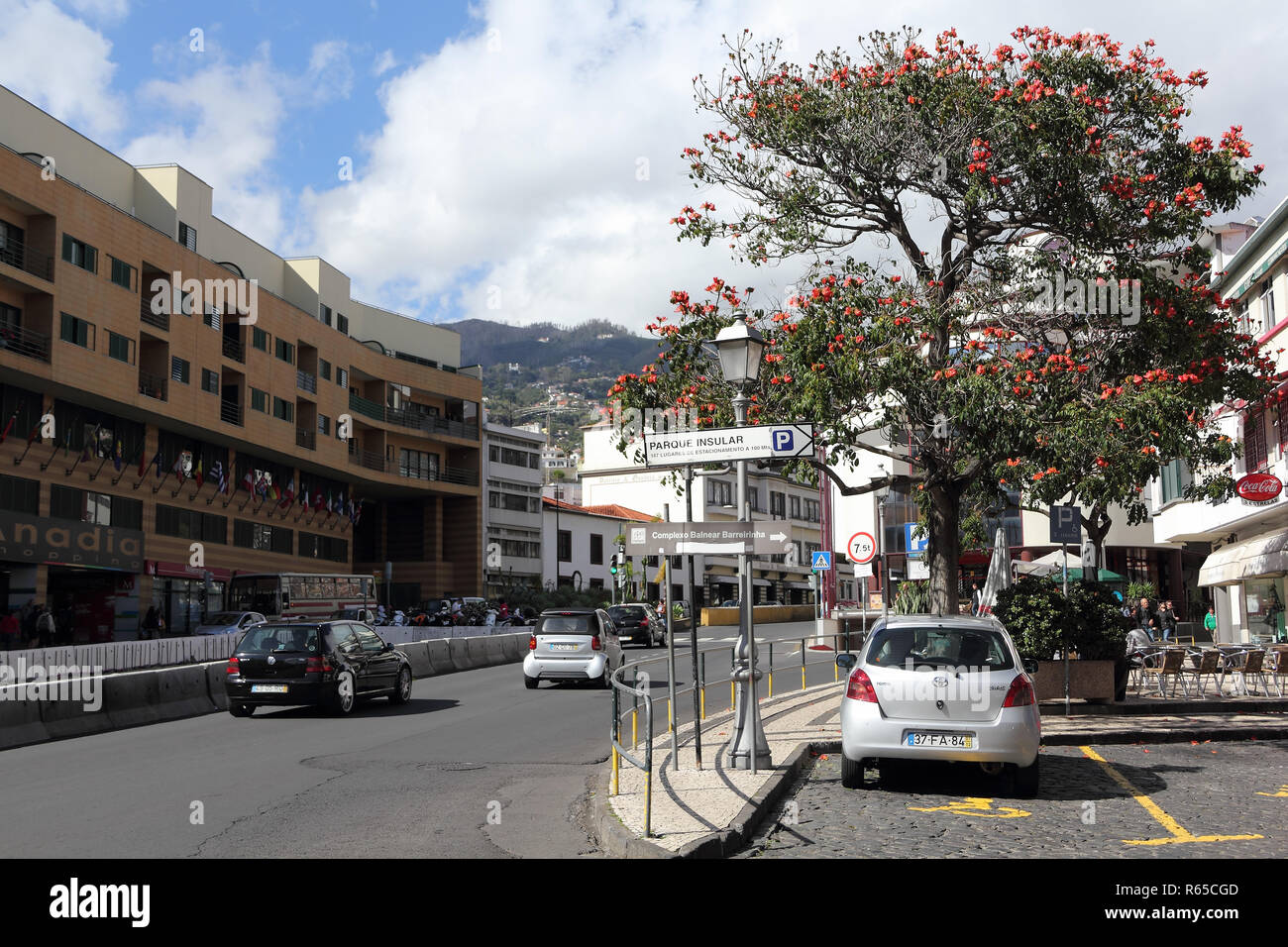 Près de la rue du marché de fermiers à Funchal, île de Madère Banque D'Images