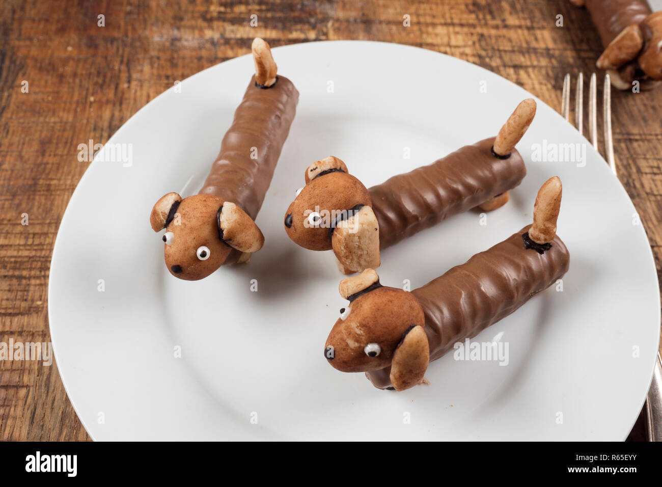 Teckel chocolat Banque D'Images