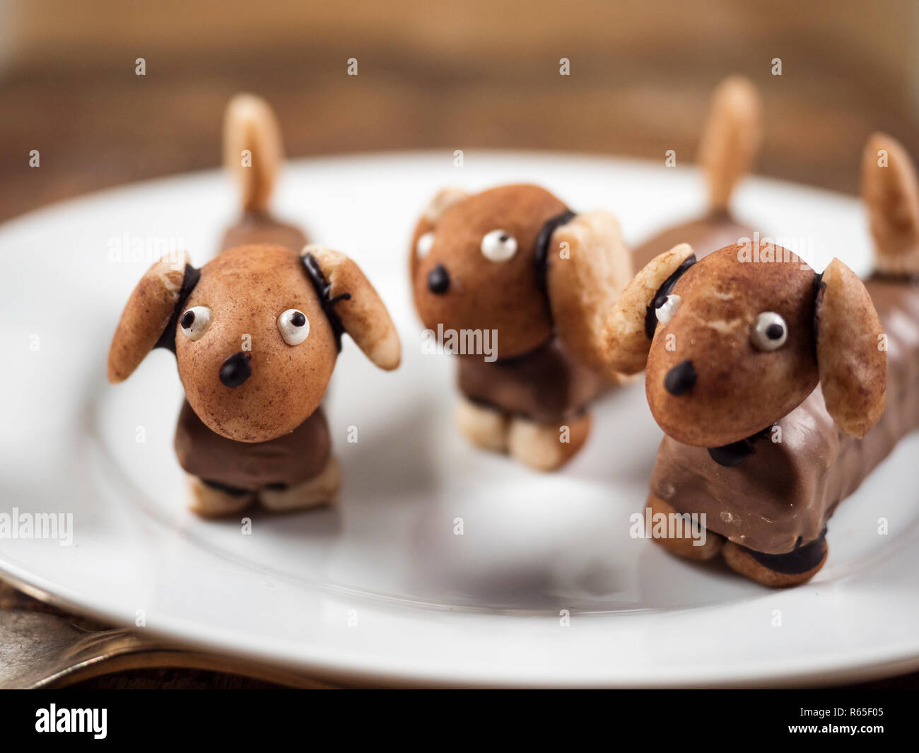 Teckel chocolat Banque D'Images