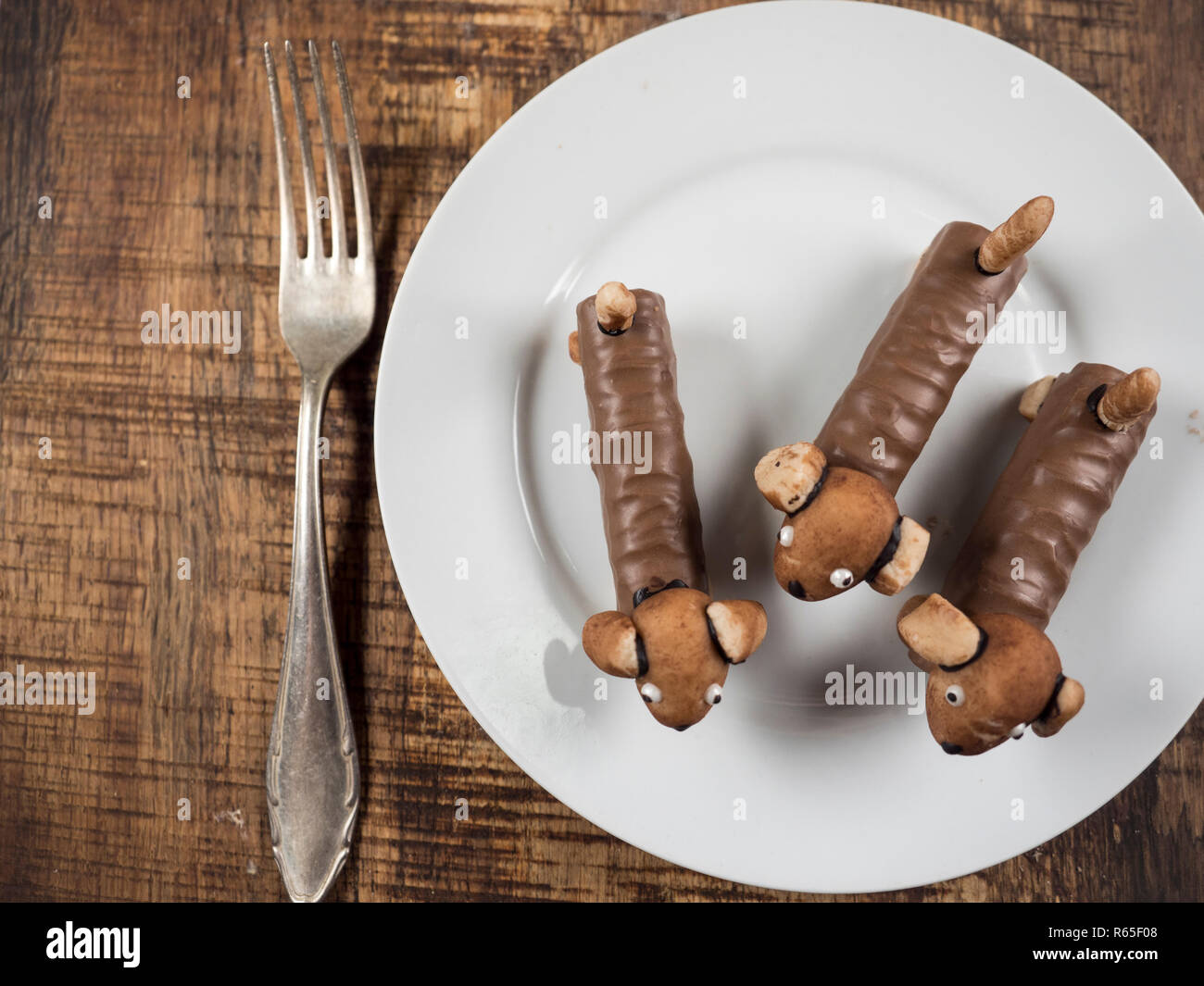 Teckel chocolat Banque D'Images