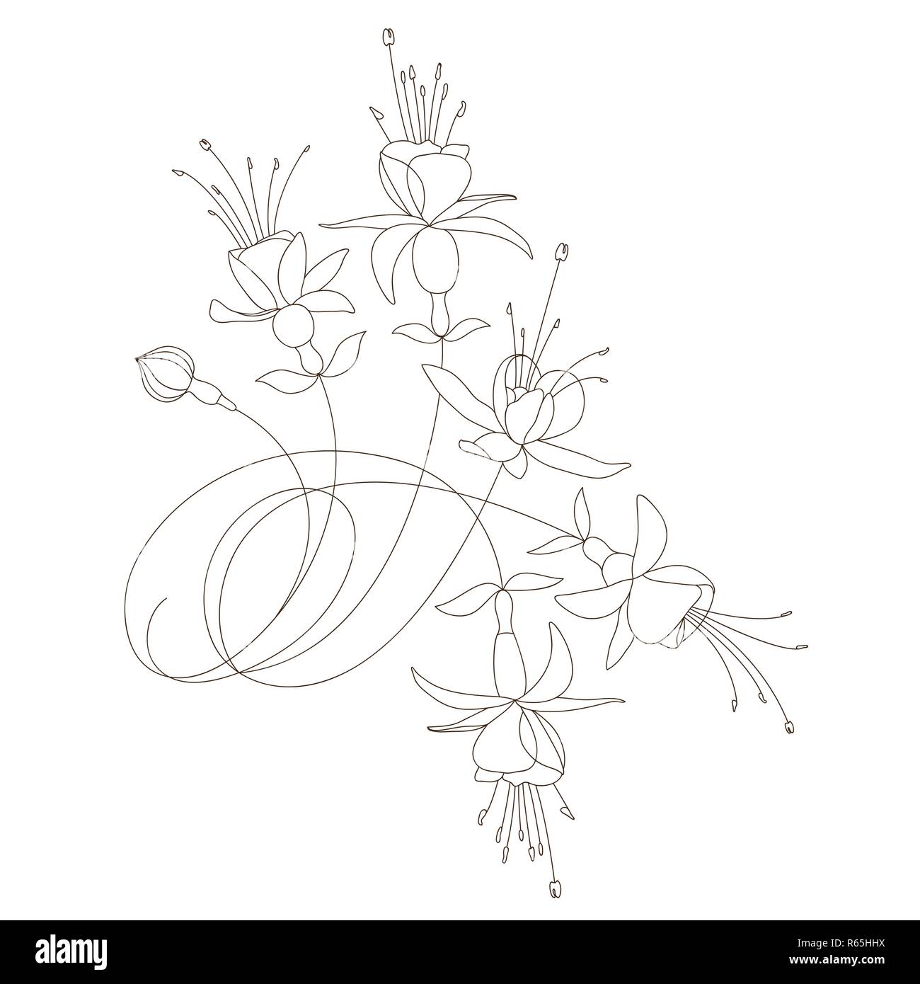 Vector floral design Illustration de Vecteur