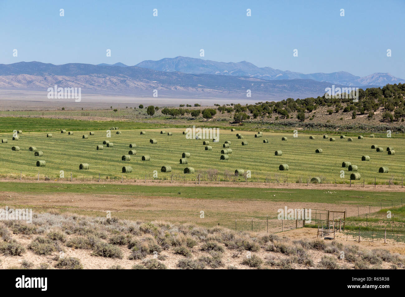 L'Agriculture des États-Unis le long de la route 50 est une route de Transcontinental aux États-Unis, s'étendant de West Sacramento, Californie, à l'ouest, à l'Ocean Banque D'Images