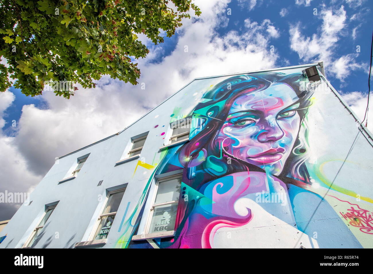 Droit de la ville de Waterford murale dans le comté de Waterford en Irlande Banque D'Images