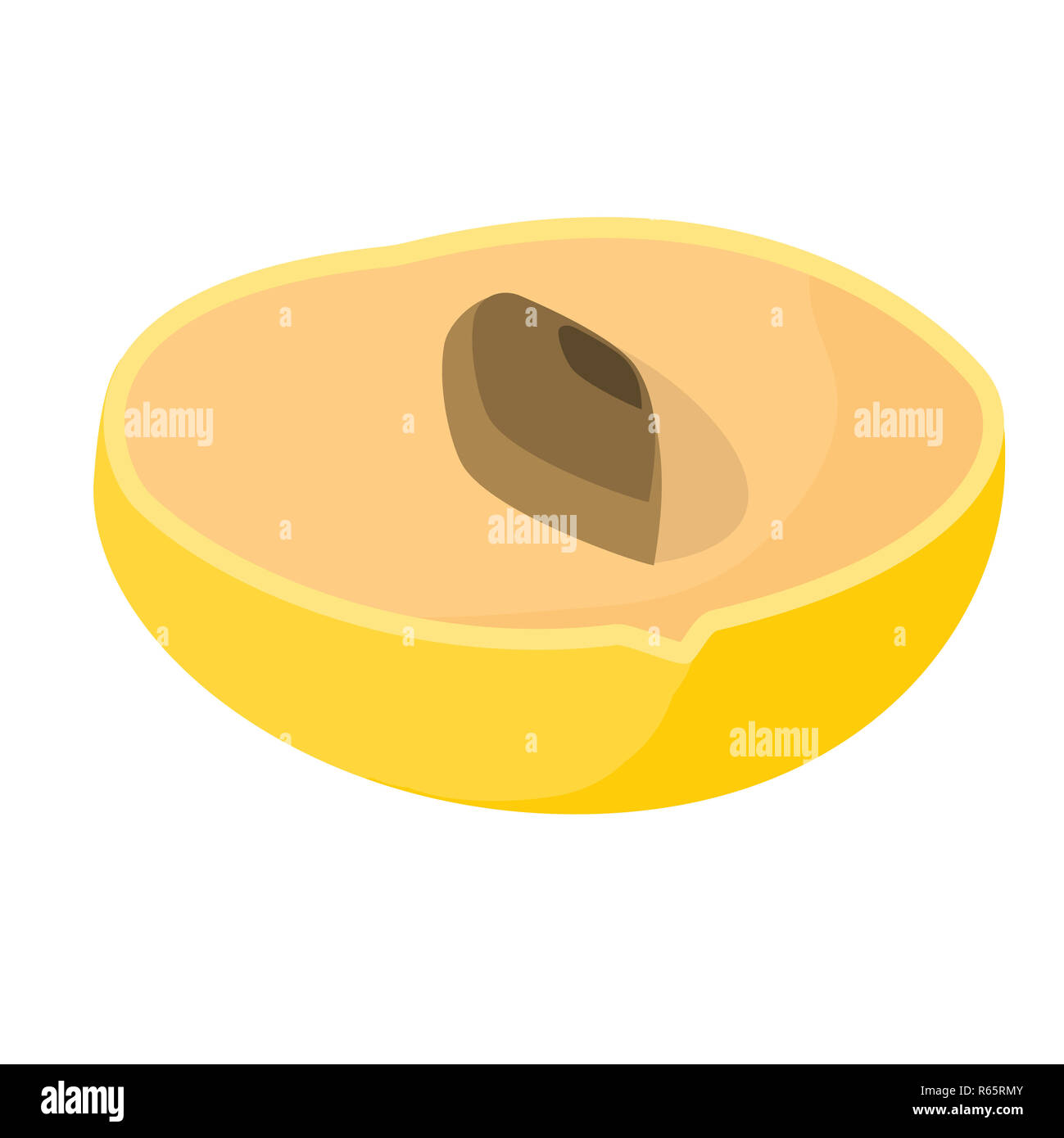 Pouteria caimito ou l'abiu golden fruits isolés sur l'arrière-plan. Vector jaune fruits tropicaux. Banque D'Images