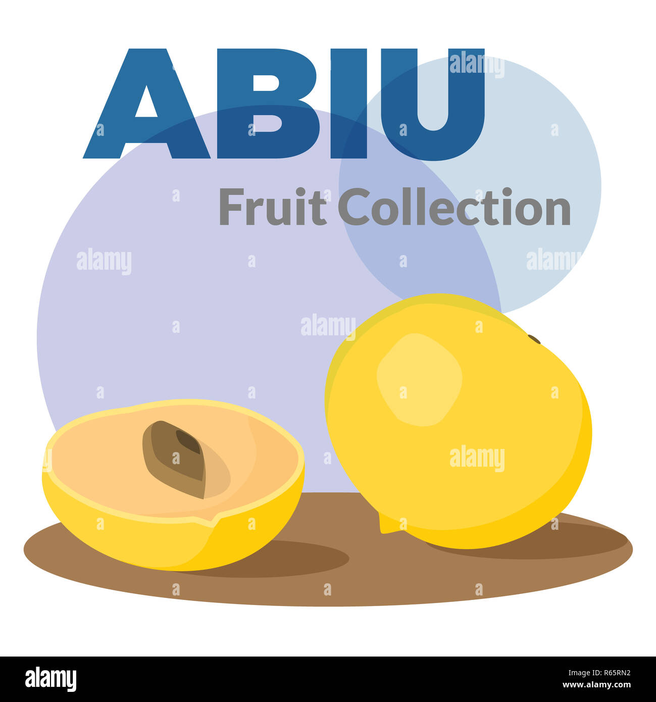 Pouteria caimito ou l'abiu golden fruits isolés sur l'arrière-plan. Vector jaune fruits tropicaux. Banque D'Images