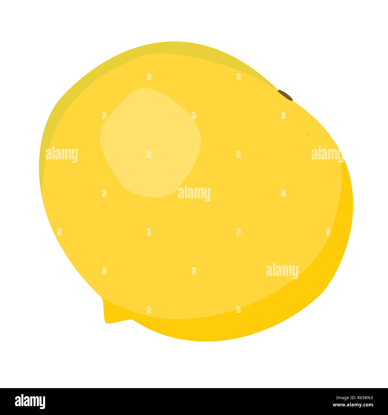Pouteria caimito ou l'abiu golden fruits isolés sur l'arrière-plan. Vector jaune fruits tropicaux. Banque D'Images