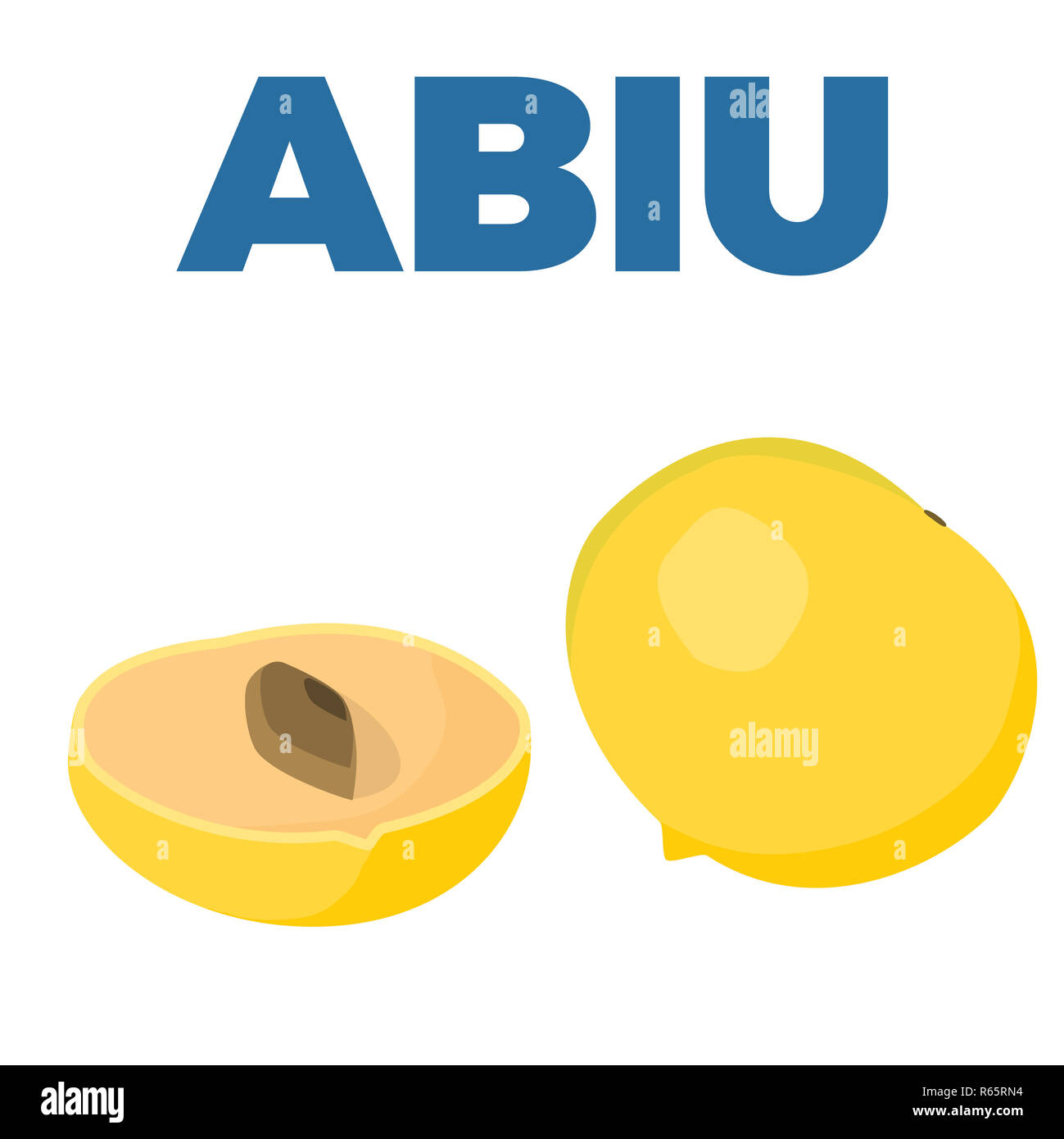 Pouteria caimito ou l'abiu golden fruits isolés sur l'arrière-plan. Vector jaune fruits tropicaux. Banque D'Images