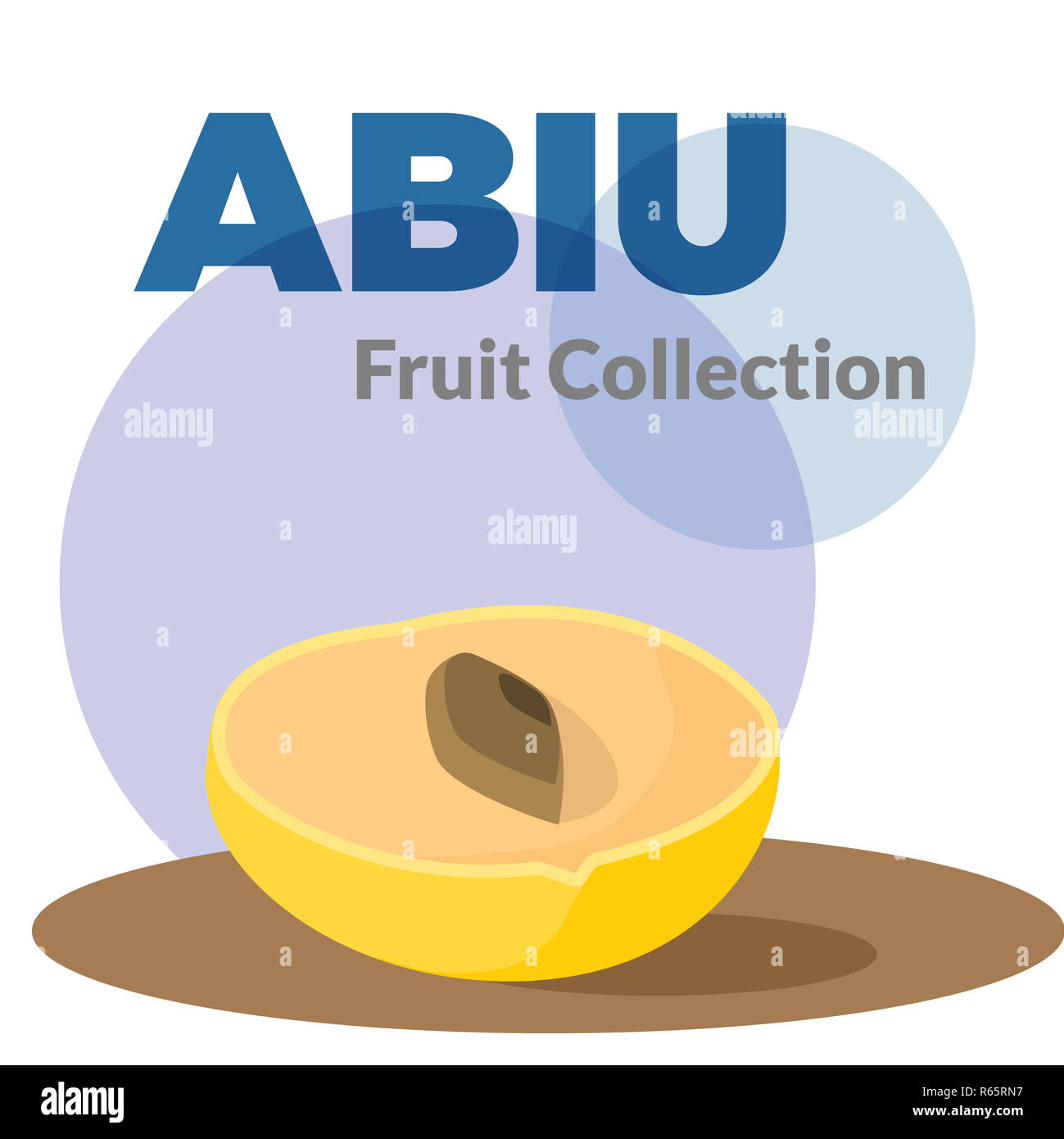 Pouteria caimito ou l'abiu (fruit d'or) isolé sur fond. Vector jaune fruits tropicaux. Banque D'Images