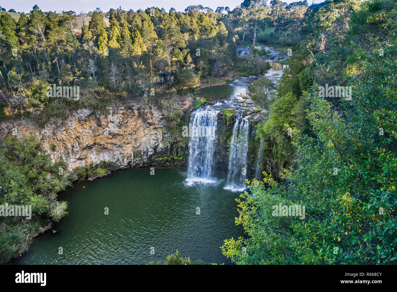 Dangar Falls de l'Bielsdown, près de Dorrigo dans les hauts plateaux de la Nouvelle Galles du Sud, Australie Banque D'Images